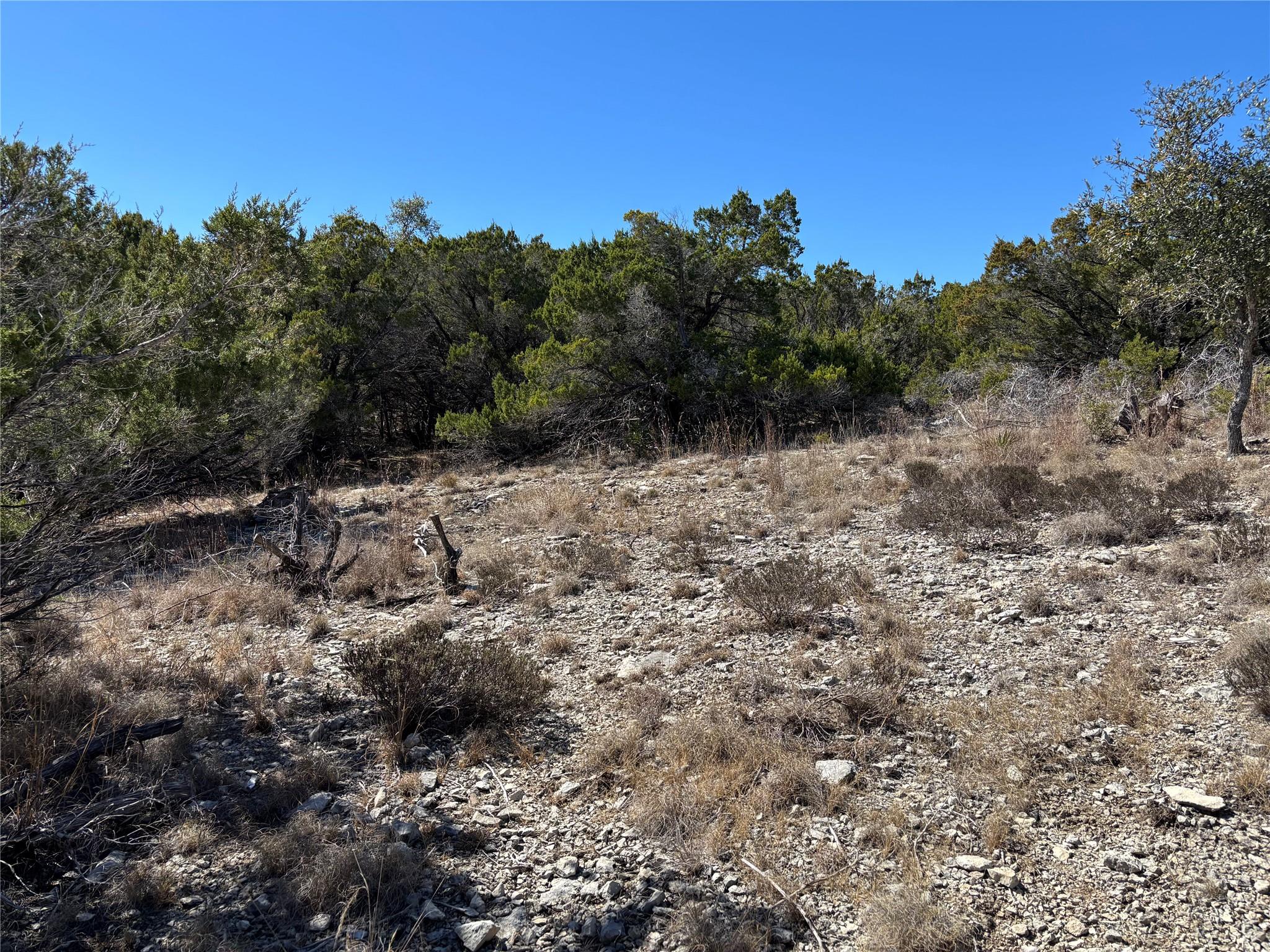 0 Fawn River DR, Spring Branch, TX 78070 photo 4