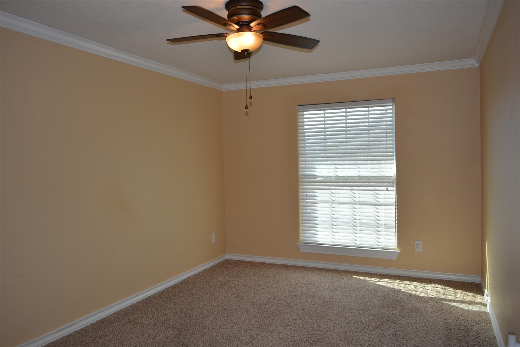 13703 Cambourne DR, Pflugerville, TX 78660 photo 5