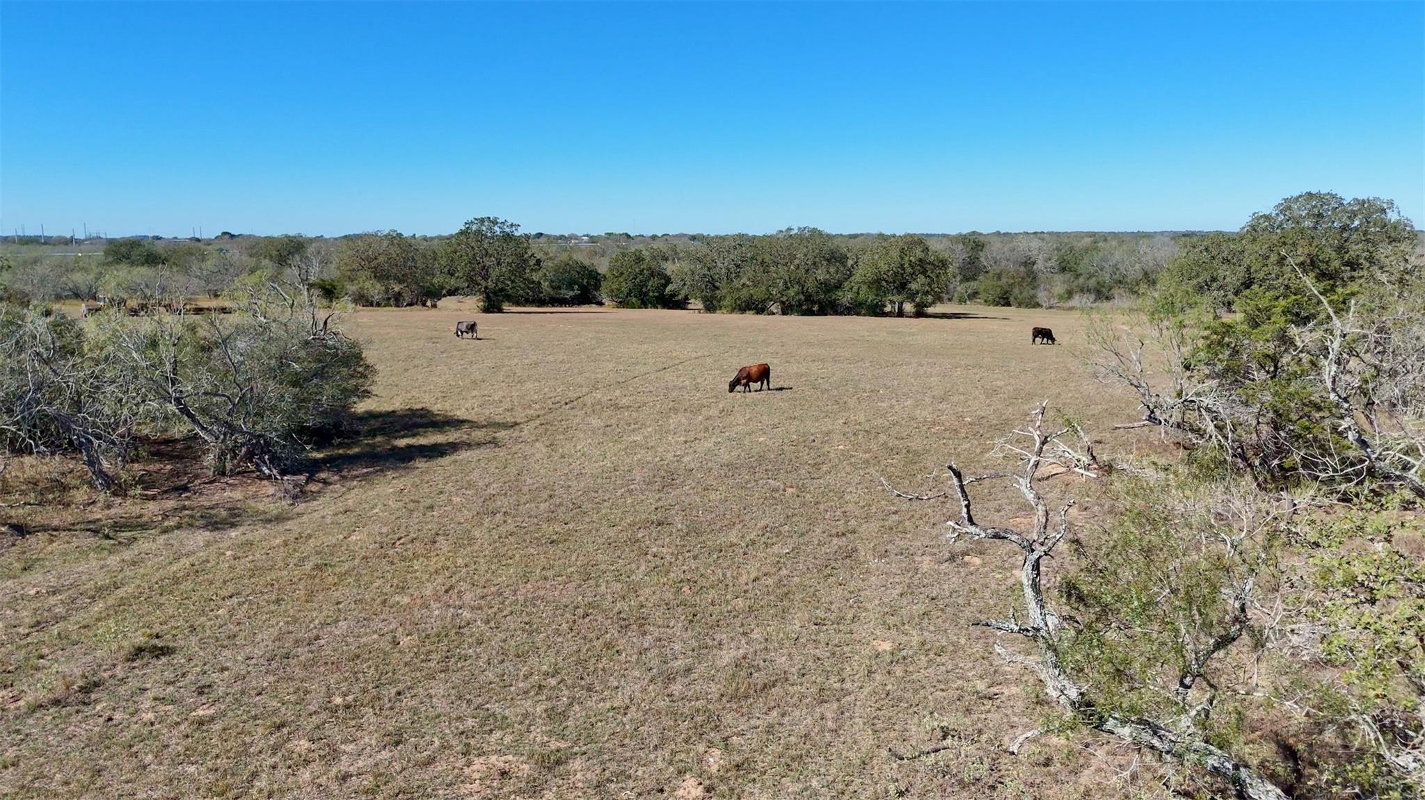 7180 CR 283, Harwood, TX 78632 photo 5