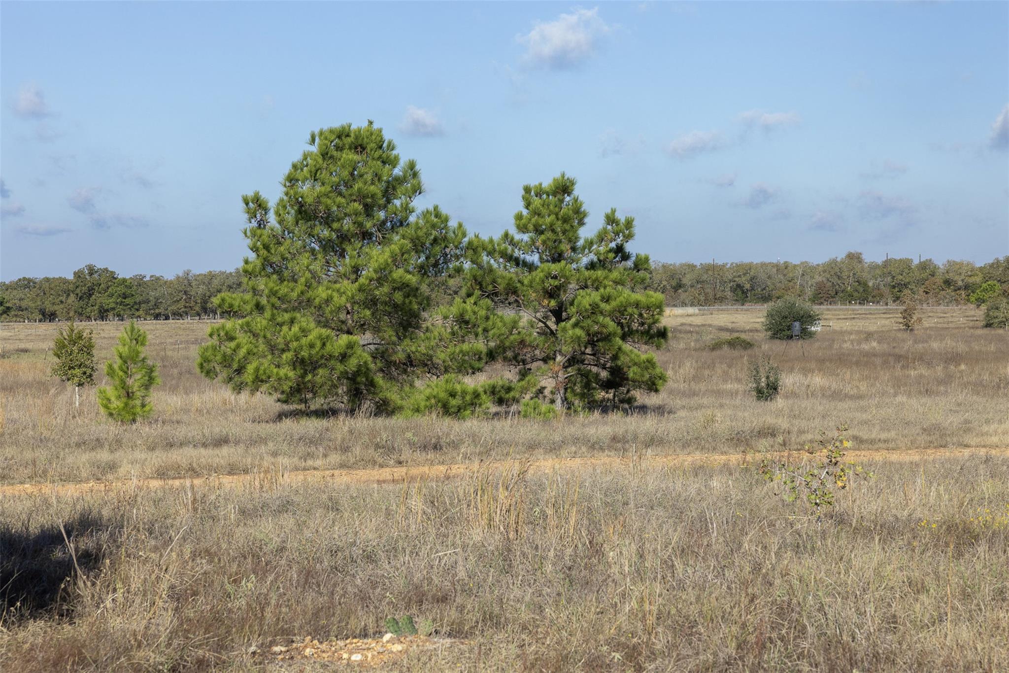 1759 Gotier Trace RD, Paige, TX 78659 photo 5