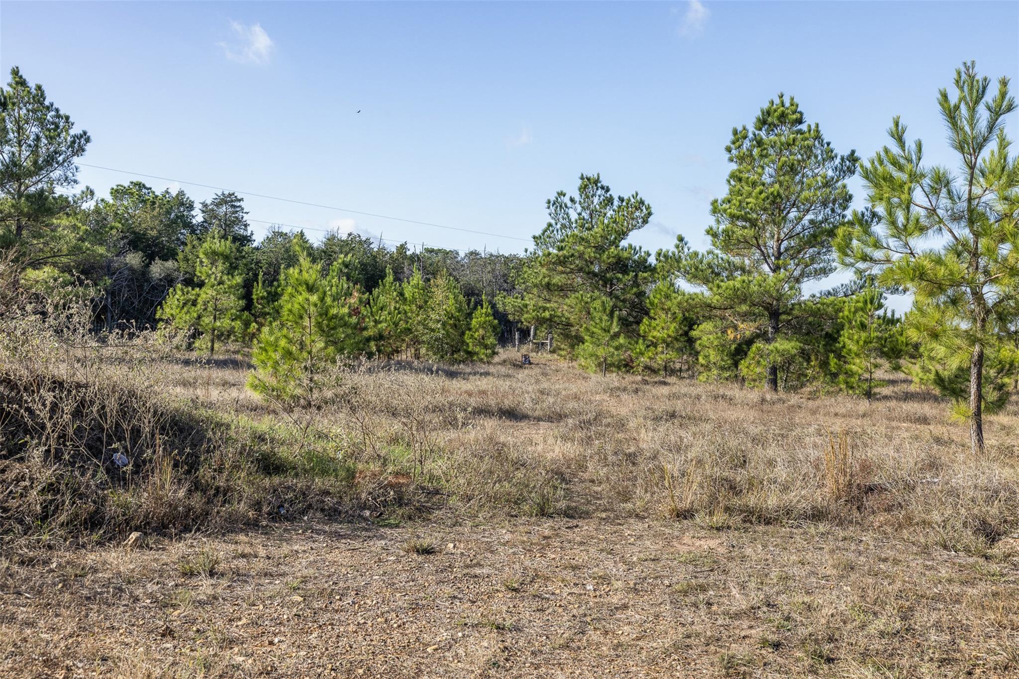 1759 Gotier Trace RD, Paige, TX 78659 photo 4
