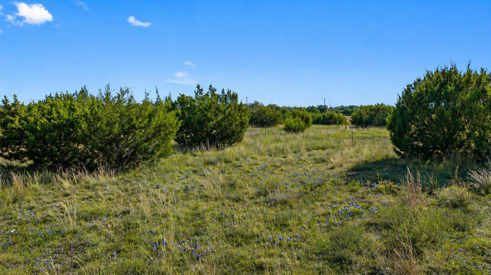 386 Appaloosa RUN, Johnson City, TX 78663 photo 3