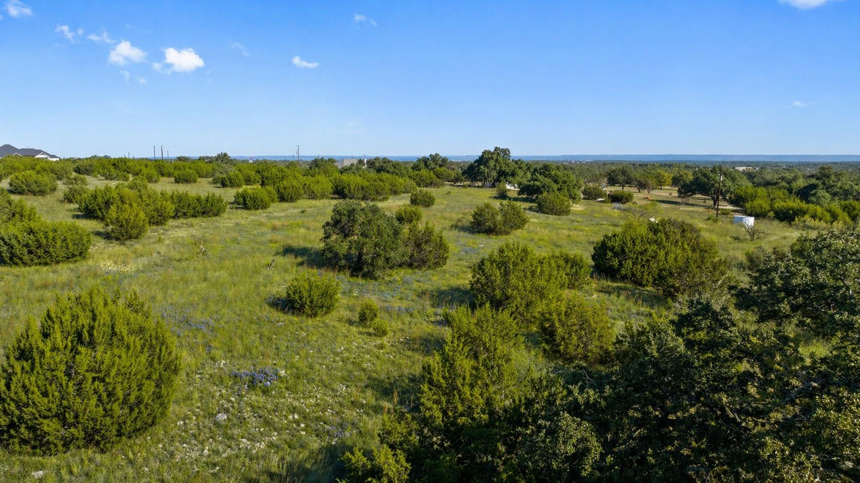 386 Appaloosa RUN, Johnson City, TX 78663 photo 4
