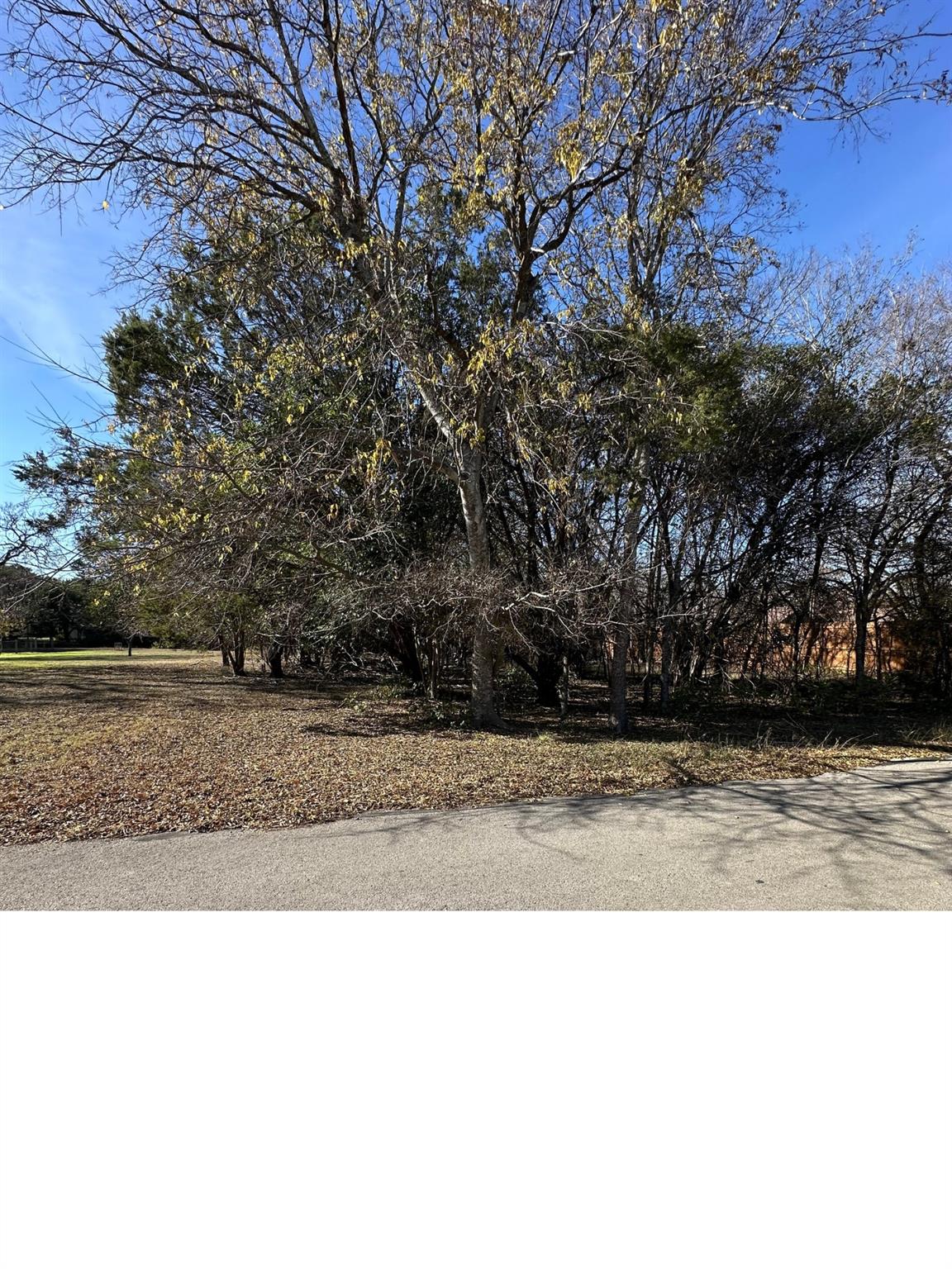 11302 Circle DR, Austin, TX 78748 photo 3