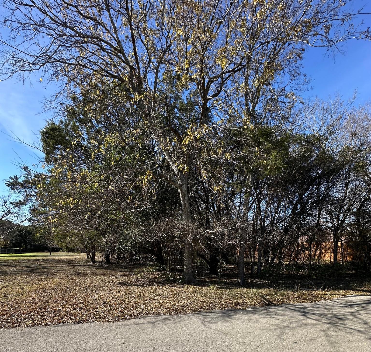 San Leanna Estates