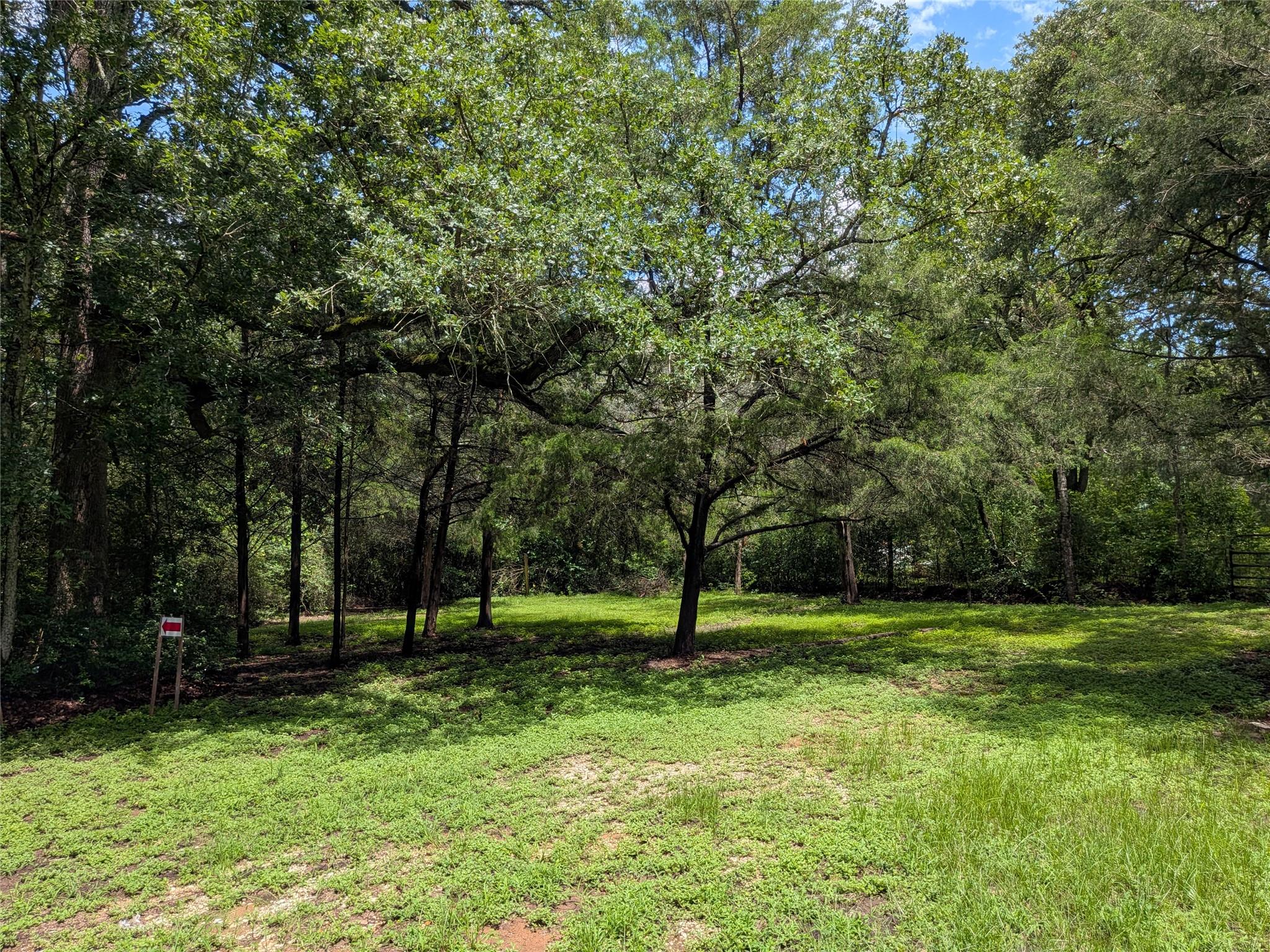 9278 Highway 77 Highway, Lexington, TX 78947 photo 4