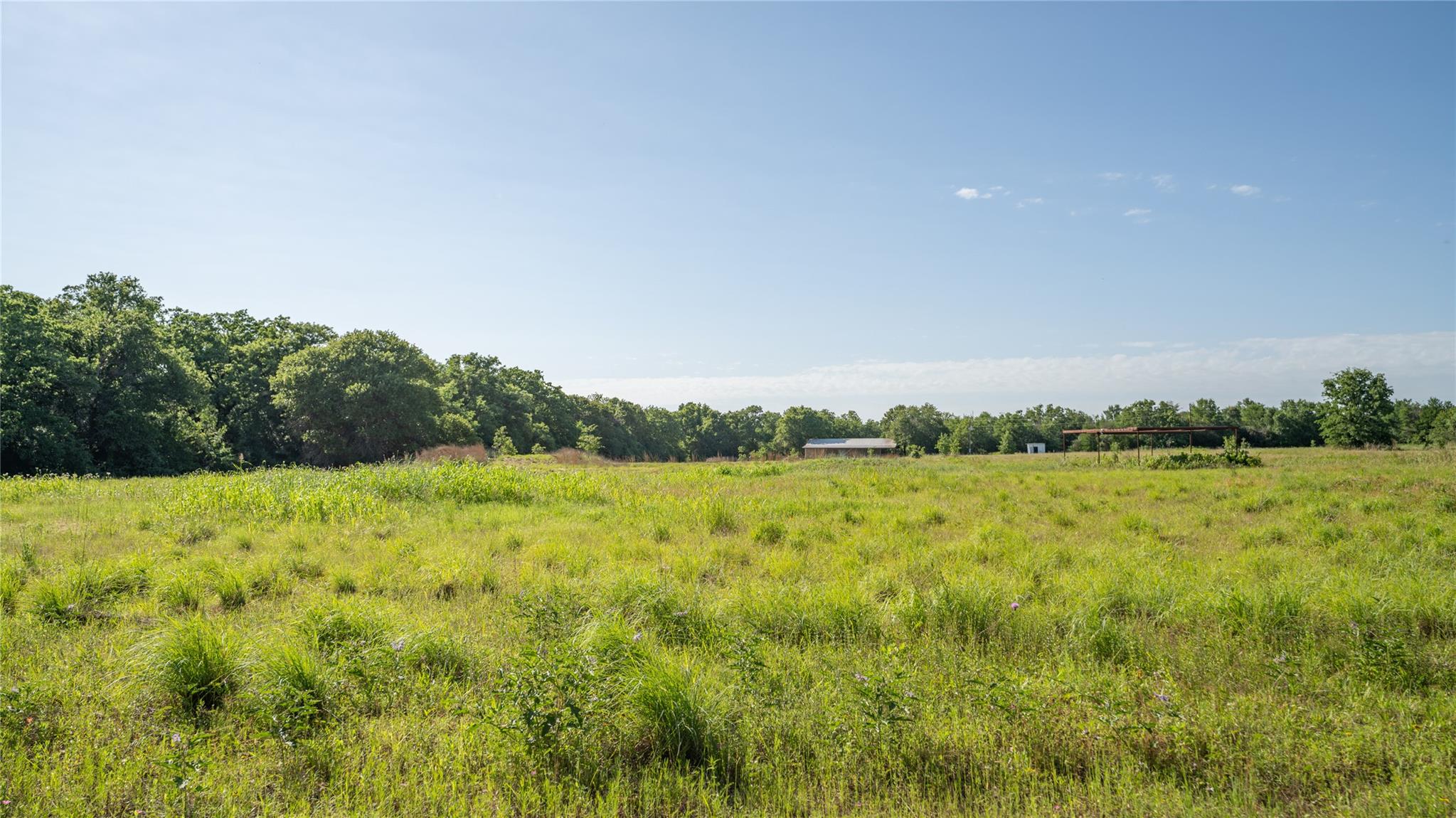 Milam Ranches
