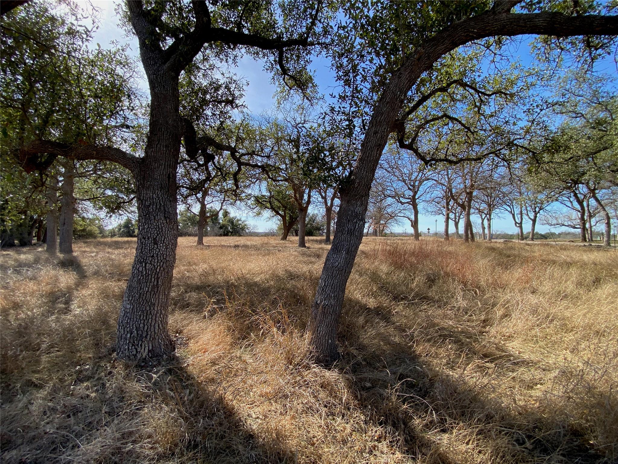 304 Lightning Ranch PT, Georgetown, TX 78628 photo 2