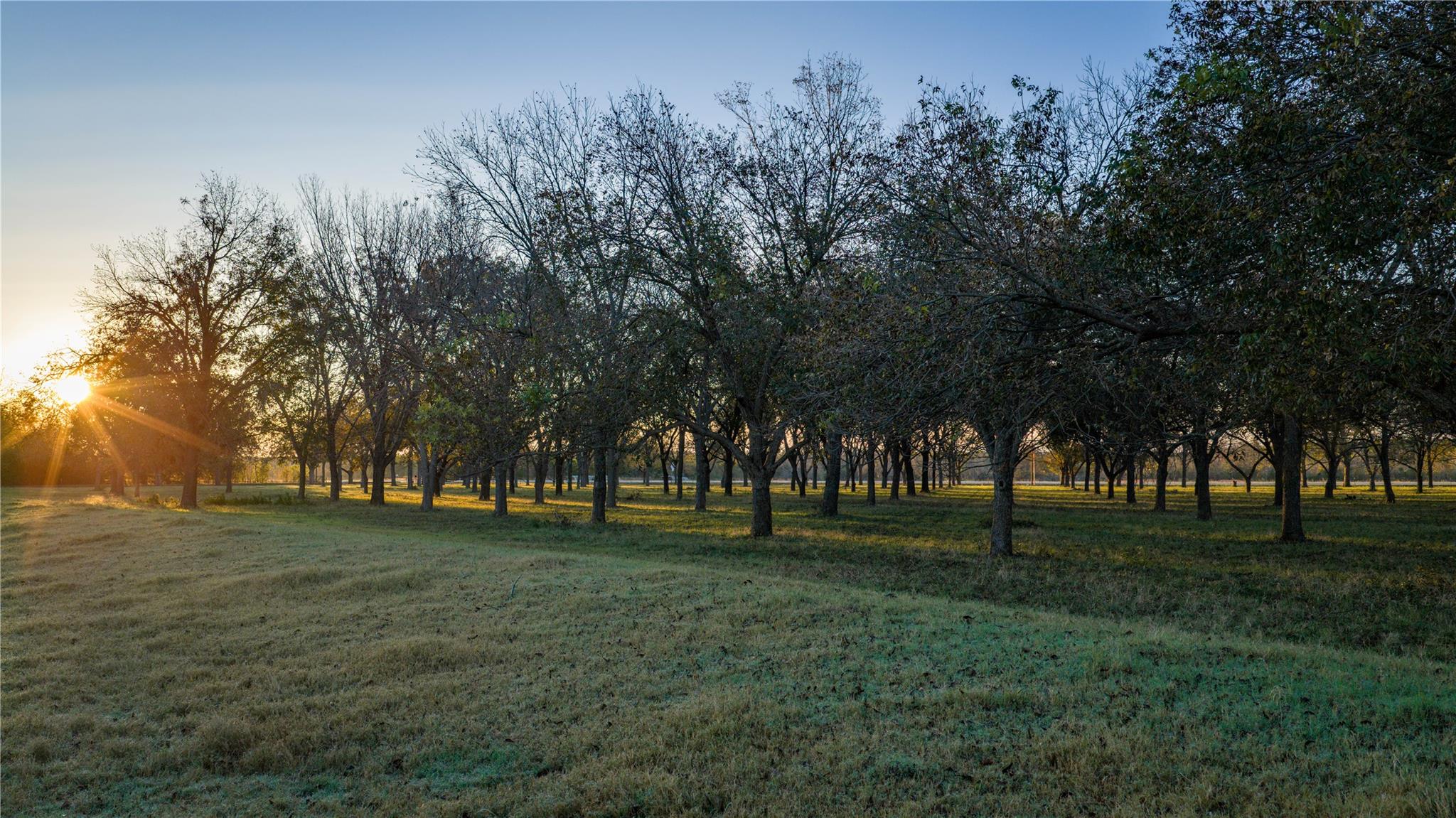 G305M50H - E Gtown ISD Abstracts