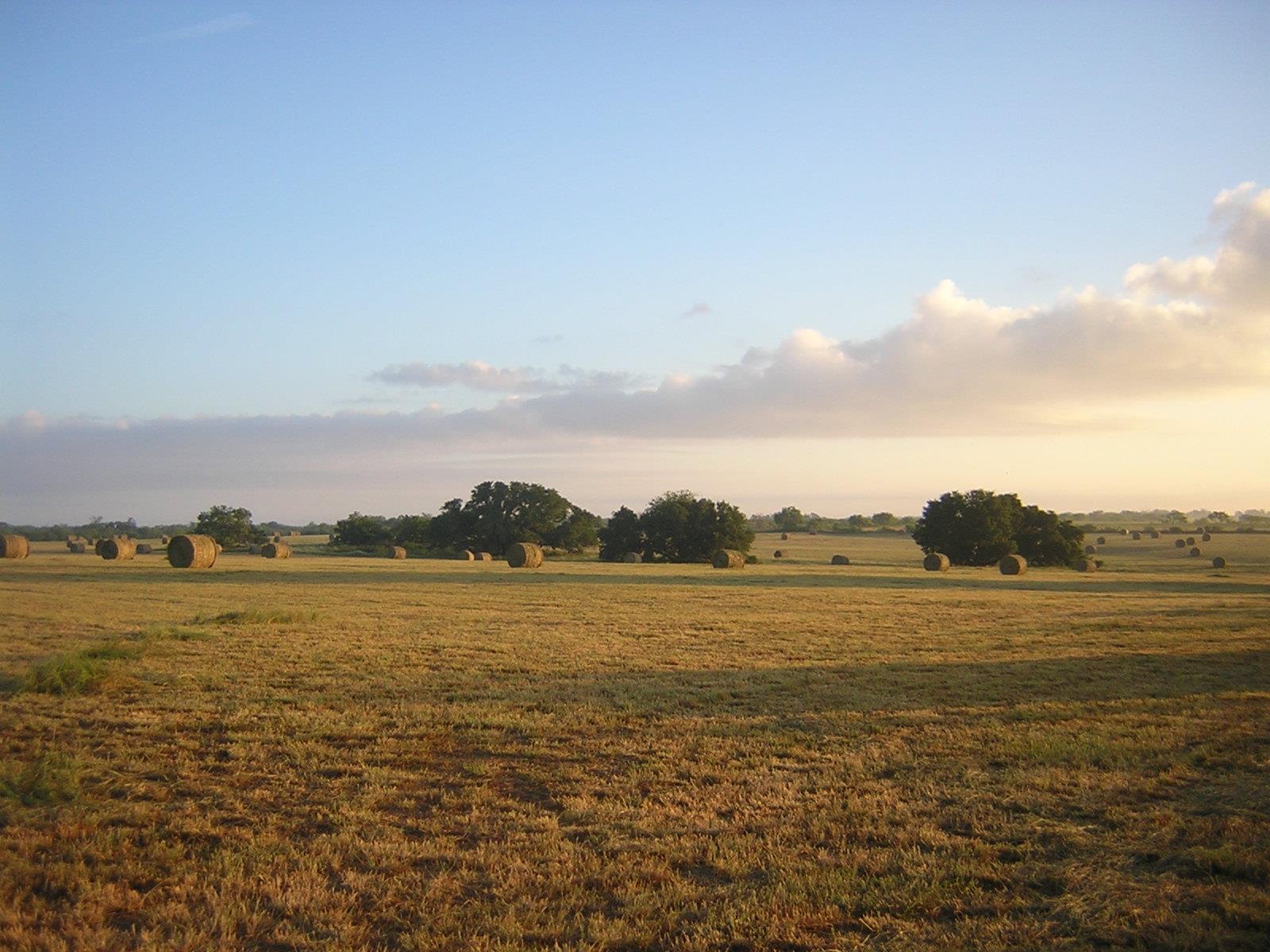 GEORGE JAMES SURVEY
