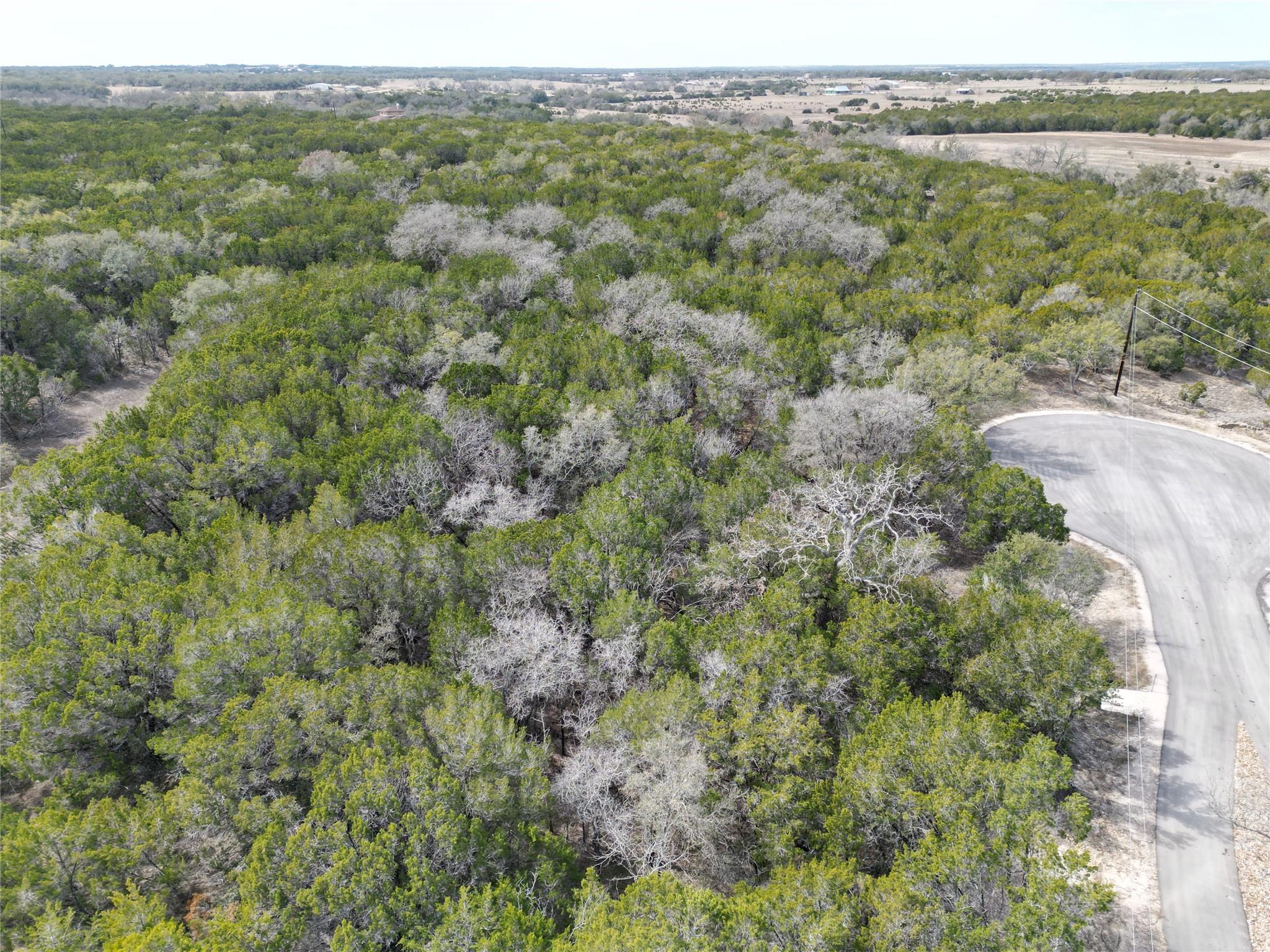 Lot 15 Edwards Court, Bertram, TX 78605 photo 2