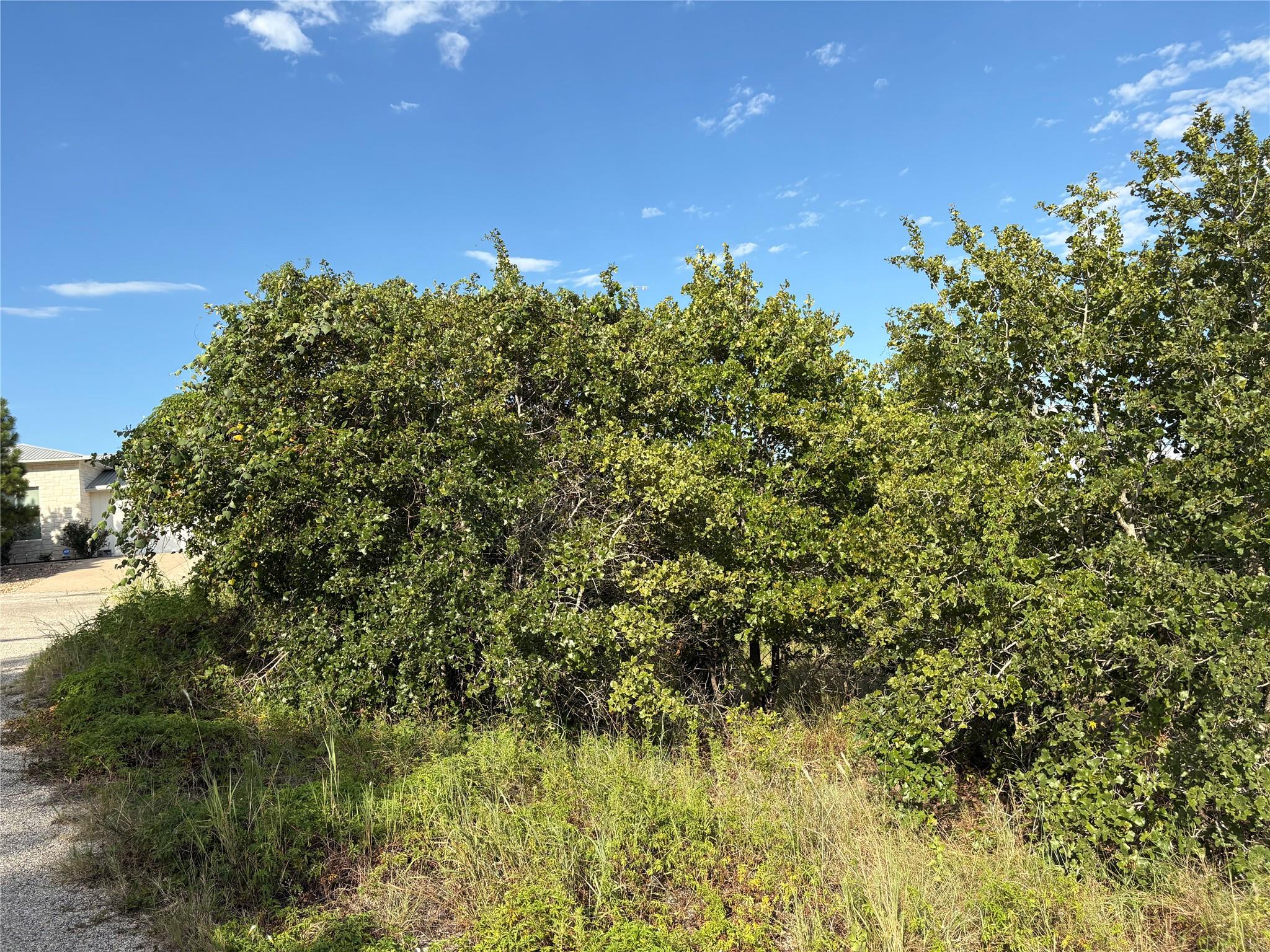 TBD Kimo CT, Bastrop, TX 78602 photo 3