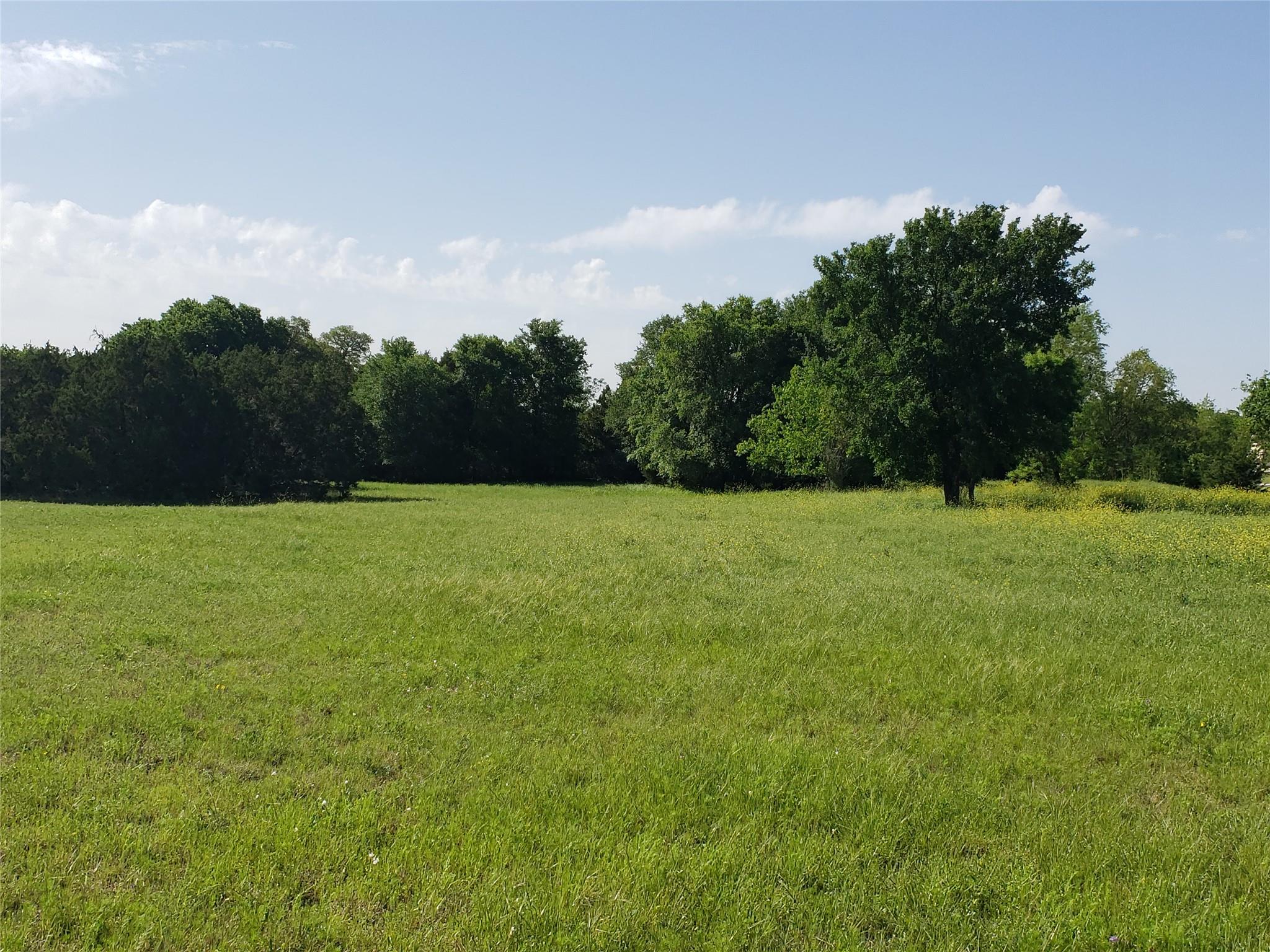 200 Christine LN, Liberty Hill, TX 78642 photo 2