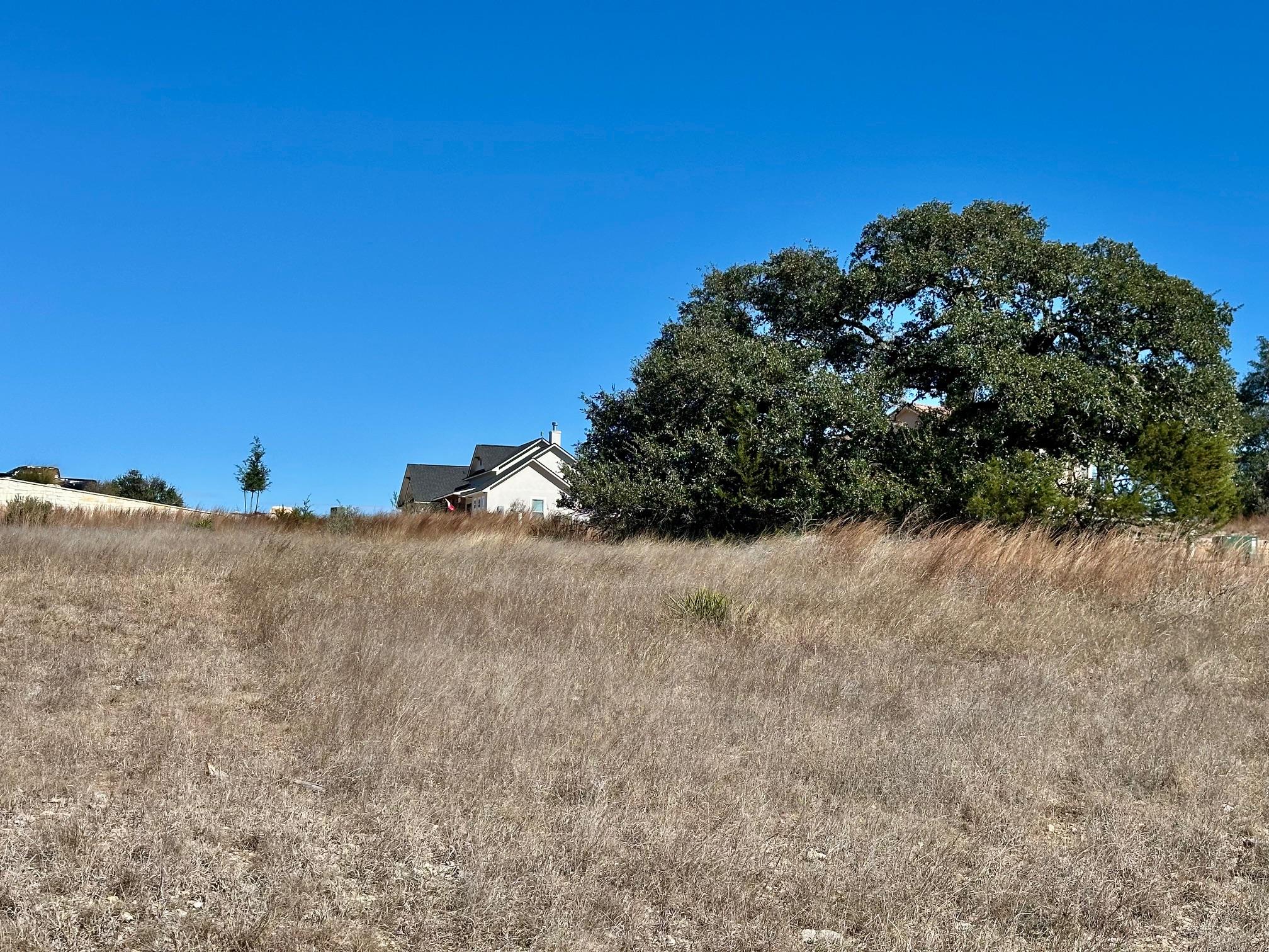 110 Alf Hunter, Blanco, TX 78606 photo 5