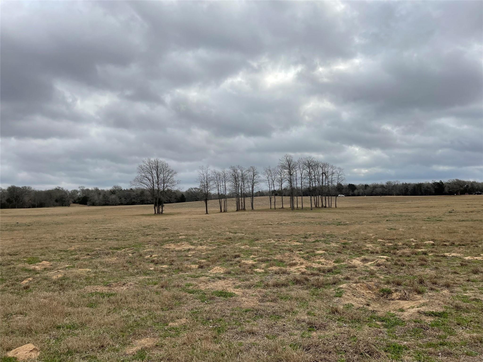 WALLEYE CREEK RANCH