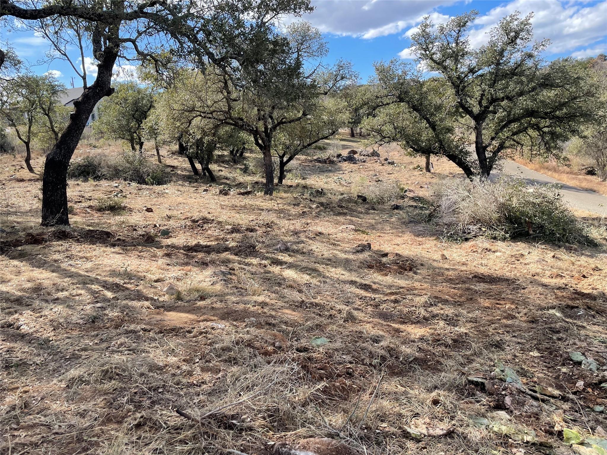 Lot 33 & Lot 34 Prince Peak ST, Cottonwood Shores, TX 78657 photo 2