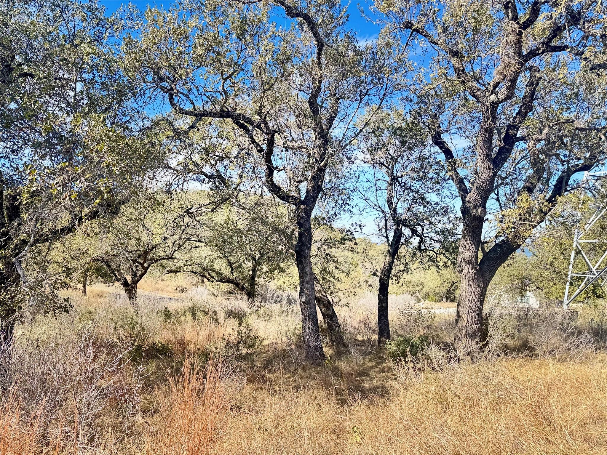Lot 33 & Lot 34 Prince Peak ST, Cottonwood Shores, TX 78657 photo 5