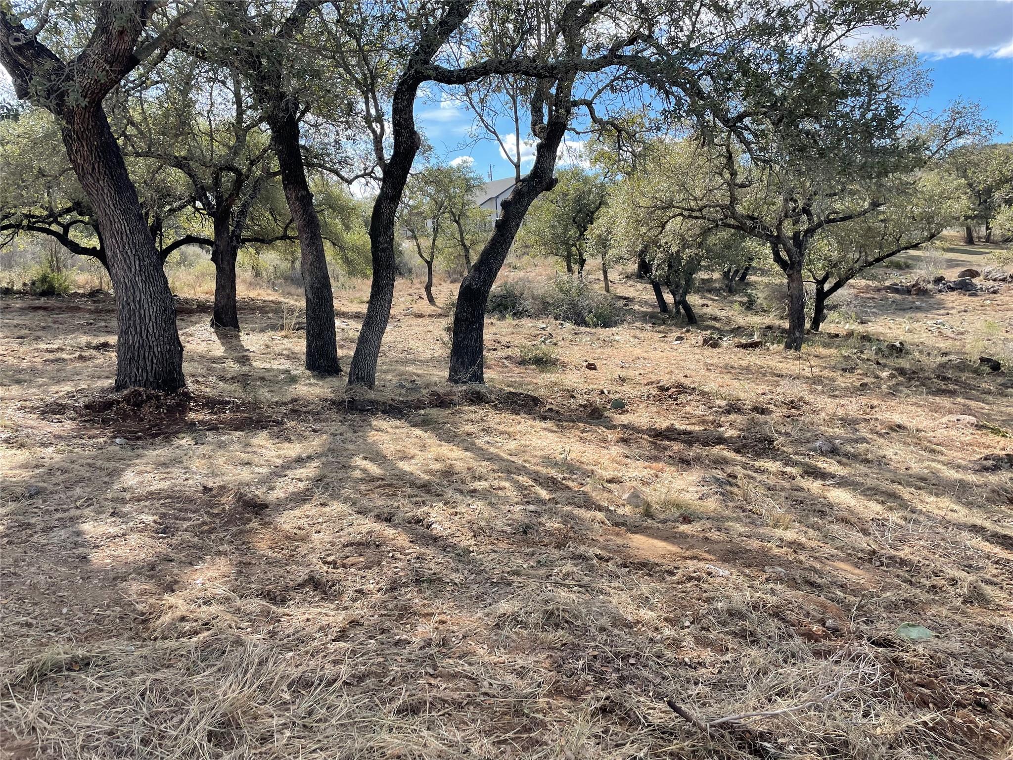Lot 33 & Lot 34 Prince Peak ST, Cottonwood Shores, TX 78657 photo 4