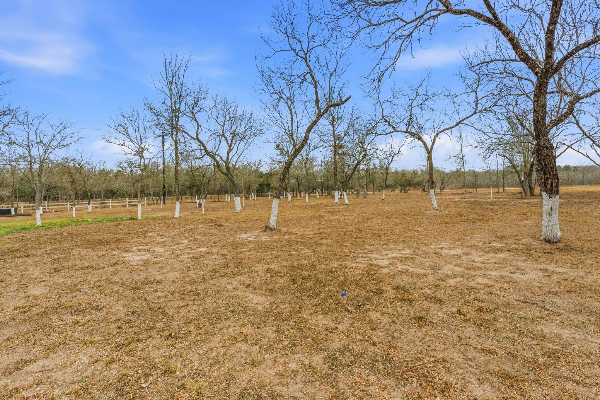 1278 Fm 812 RD, Cedar Creek, TX 78612 photo 5