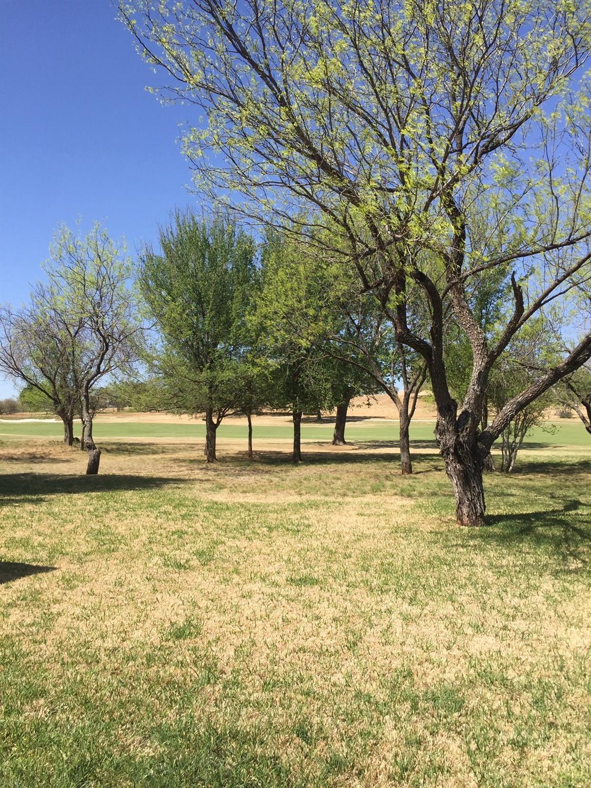 338 Sun Ray, Horseshoe Bay, TX 78657 photo 4