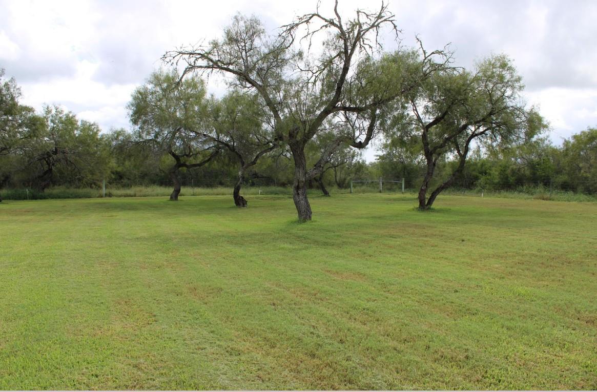 375 County Road 401 RD, Premont, TX 78355 photo 5