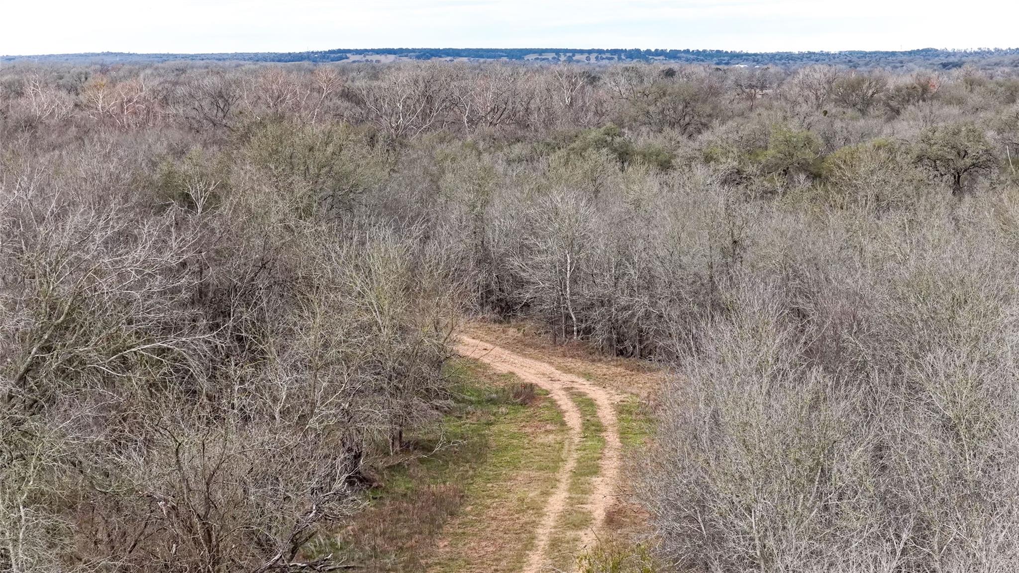 256 Greasy Bend RD, Smithville, TX 78957 photo 5