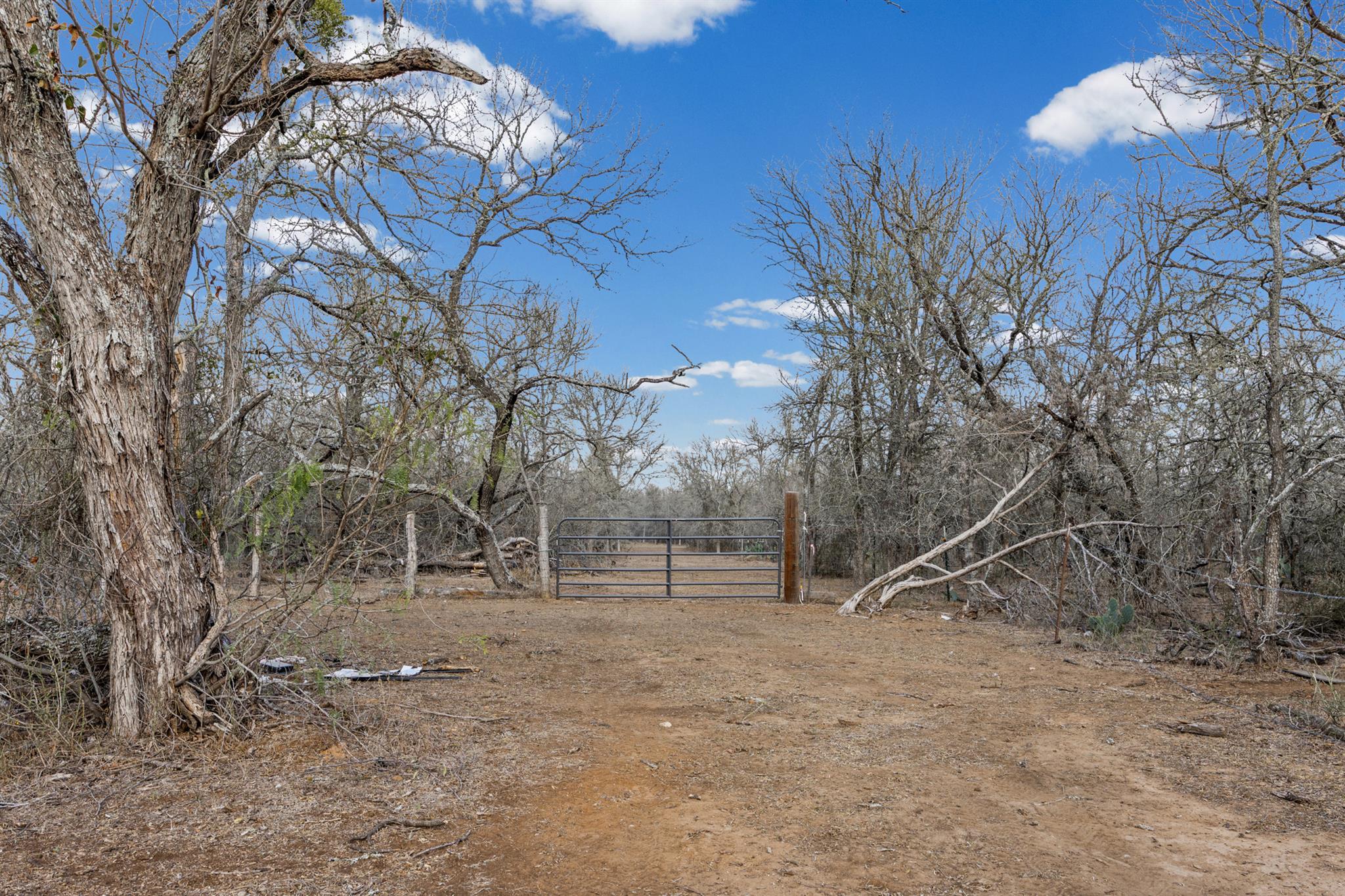 TBD Sneed LN, Dale, TX 78616 photo 2