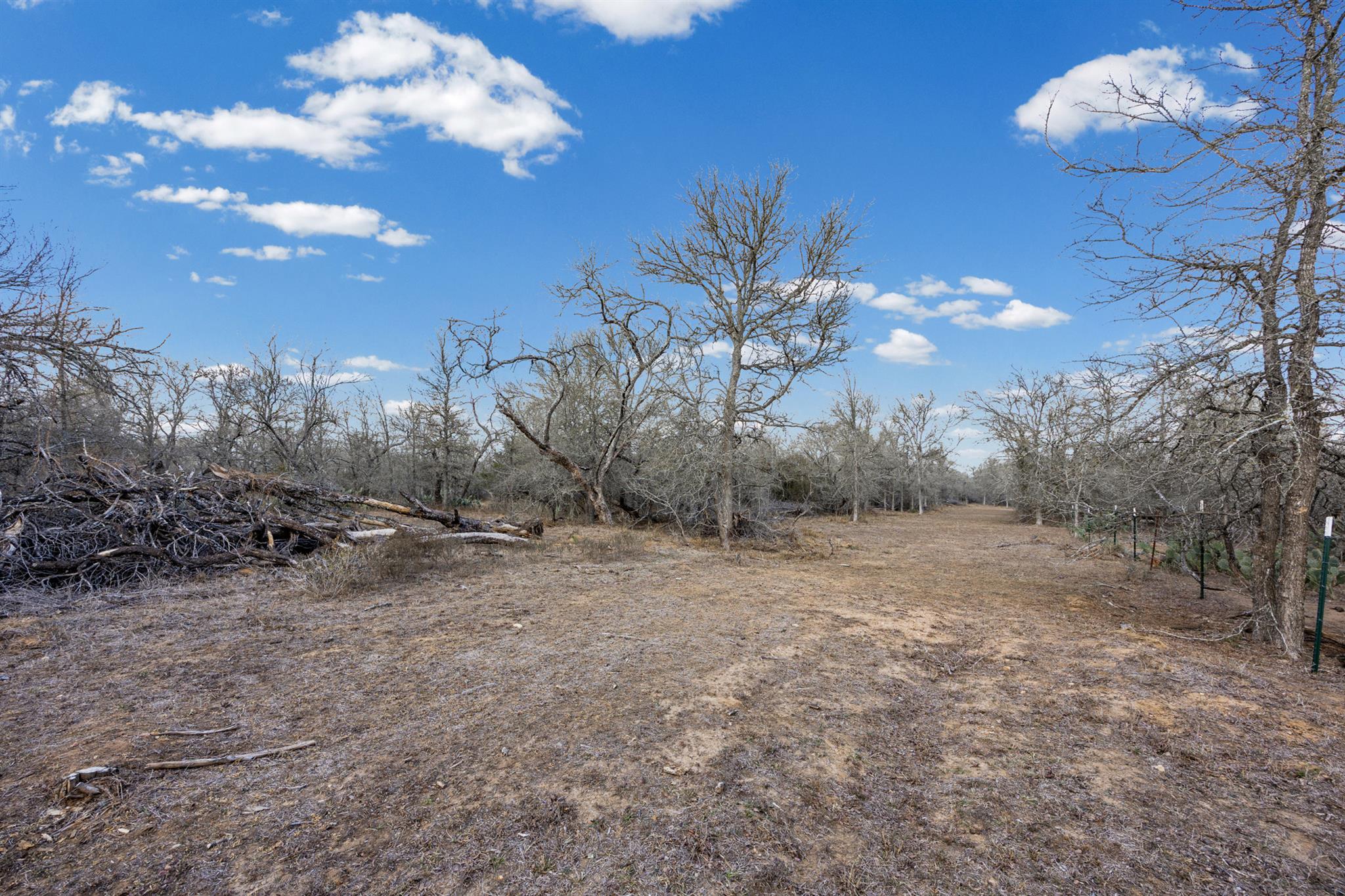 TBD Sneed LN, Dale, TX 78616 photo 5