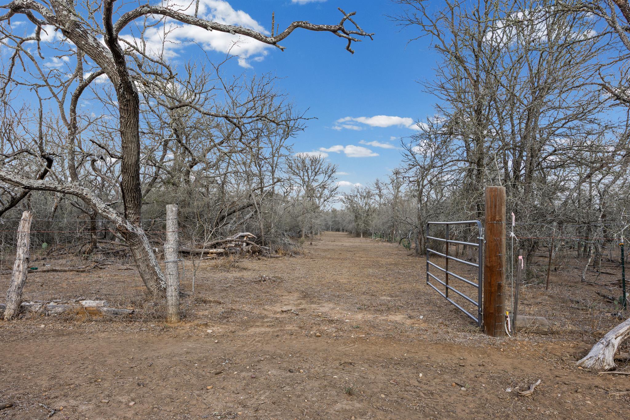 TBD Sneed LN, Dale, TX 78616 photo 4