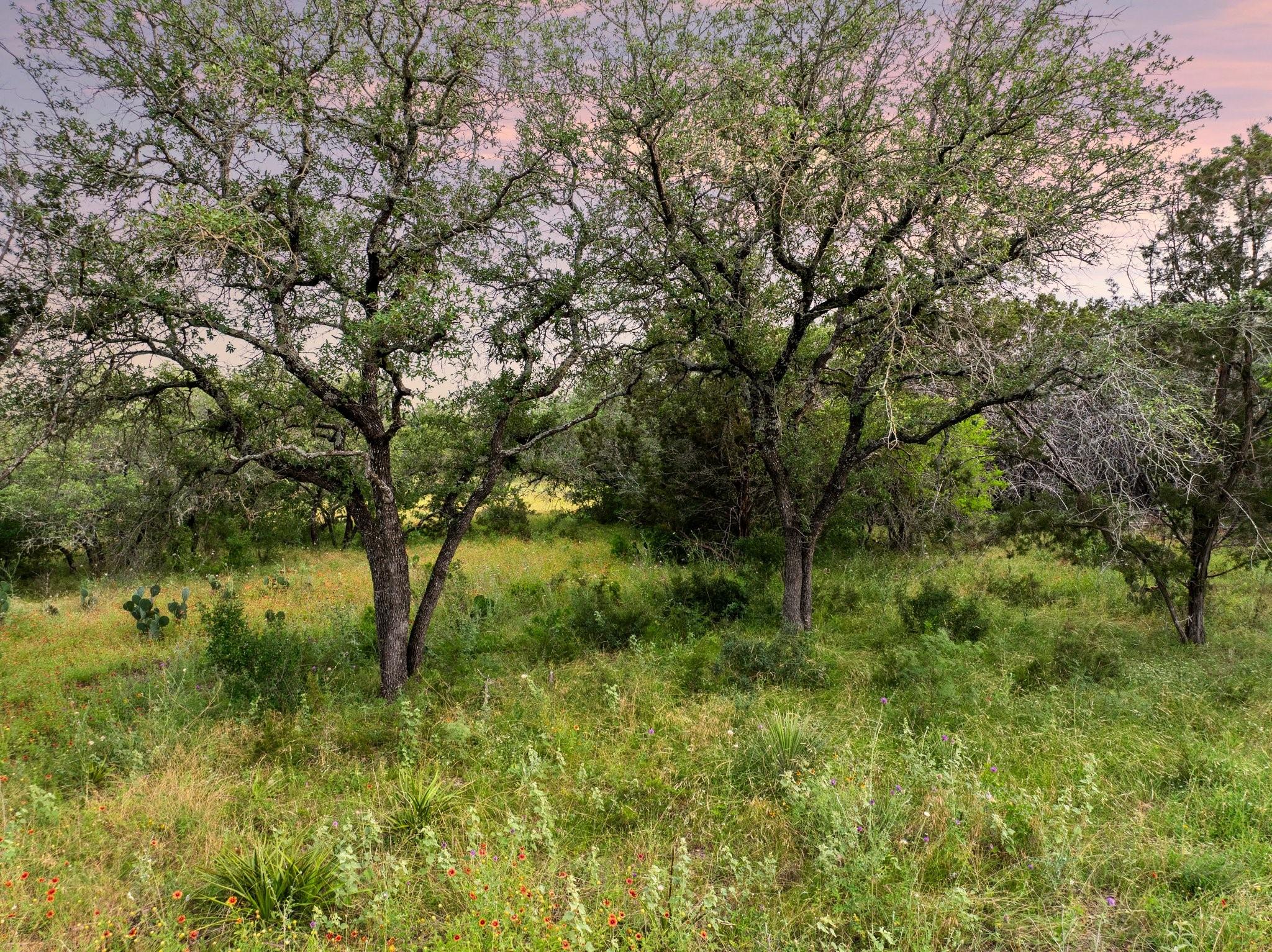 2308 County Road 414, Spicewood, TX 78669 photo 2