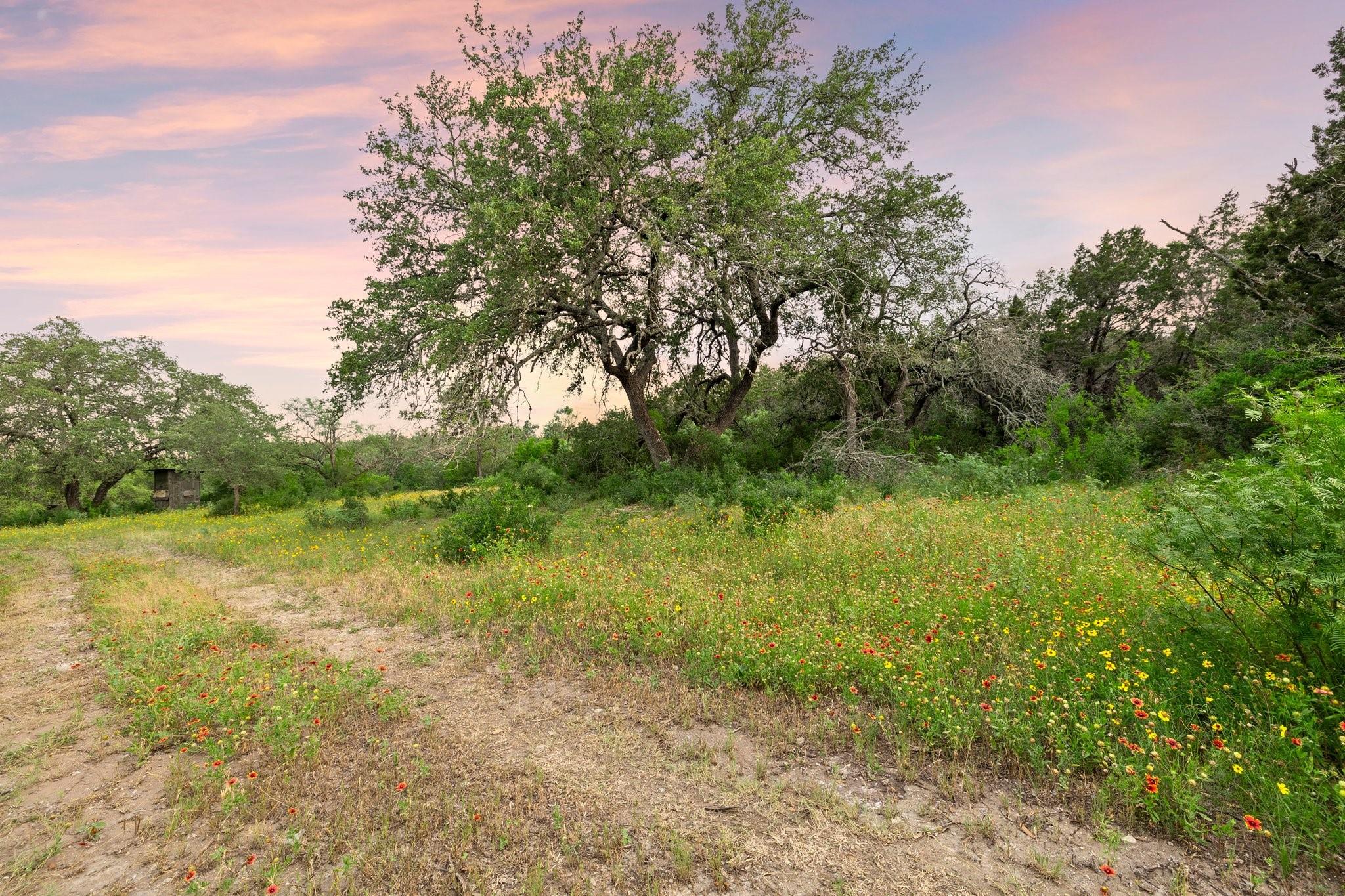 2308 County Road 414, Spicewood, TX 78669 photo 3