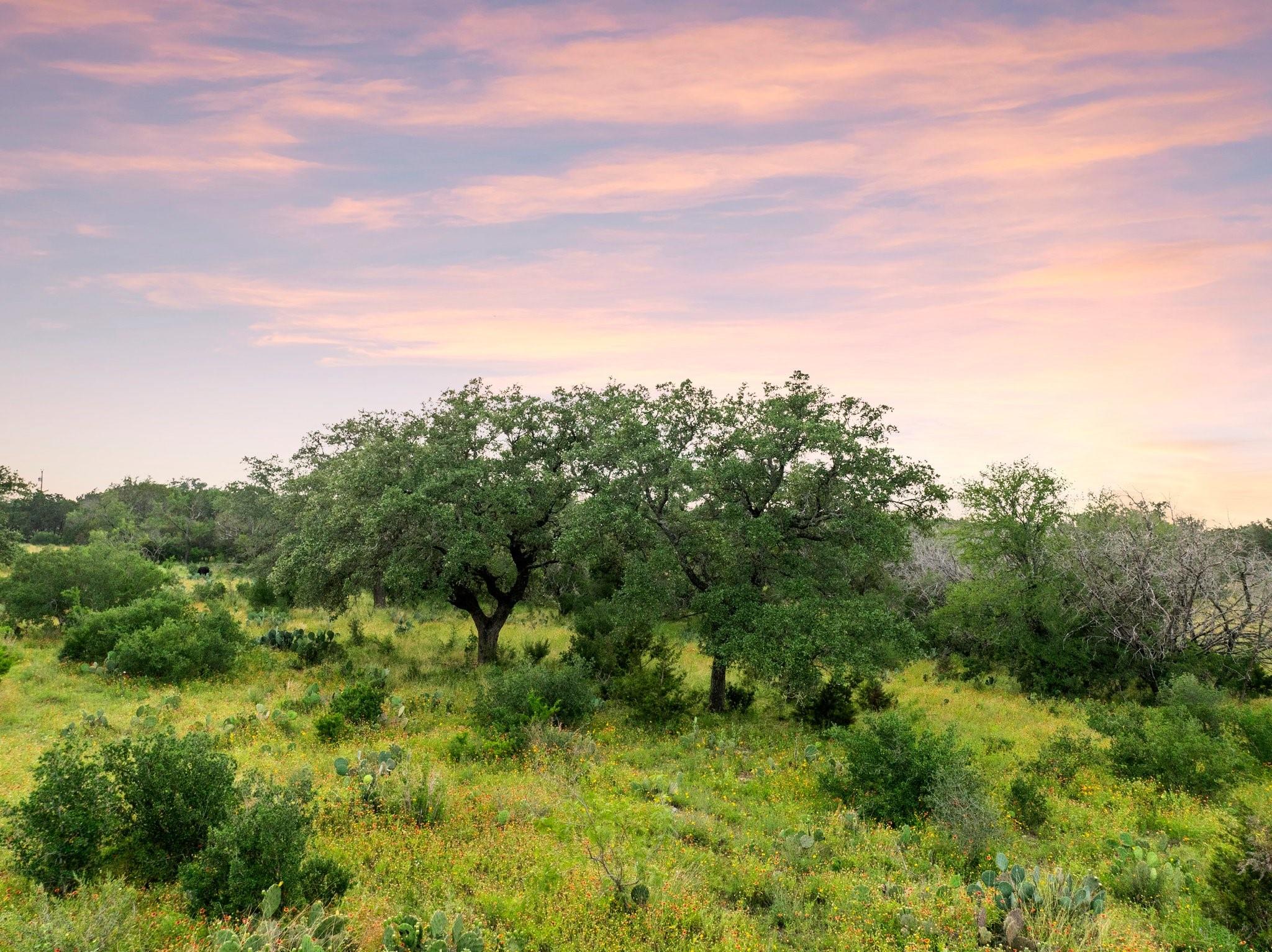 2308 County Road 414, Spicewood, TX 78669 photo 5
