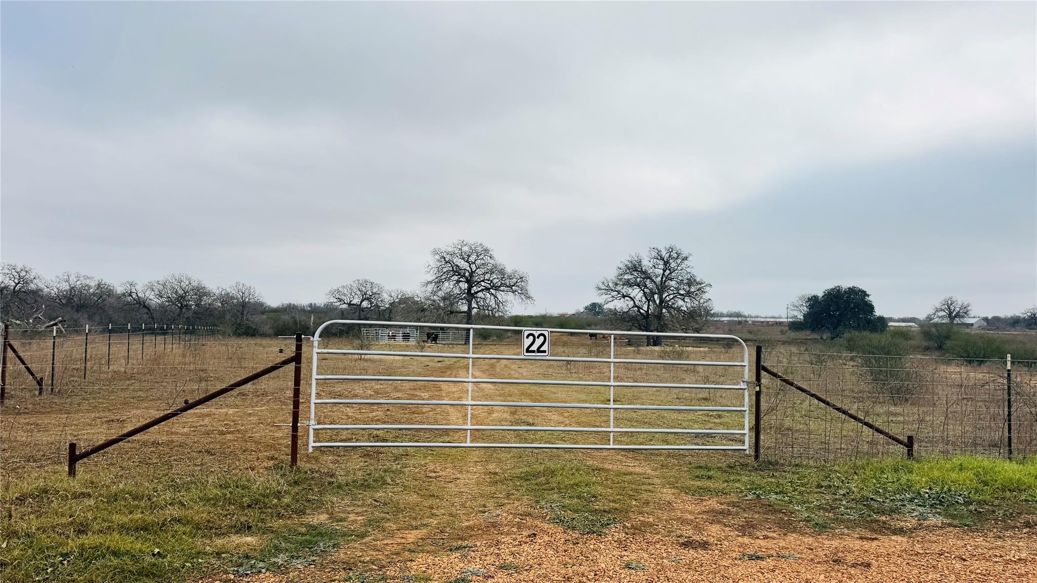 957 Johnson Farms RD, Harwood, TX 78632 photo 3