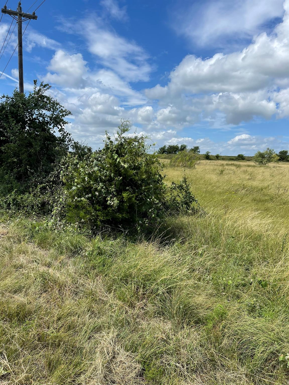 316 HWY US 183 NORTH, Briggs, TX 78608 photo 3