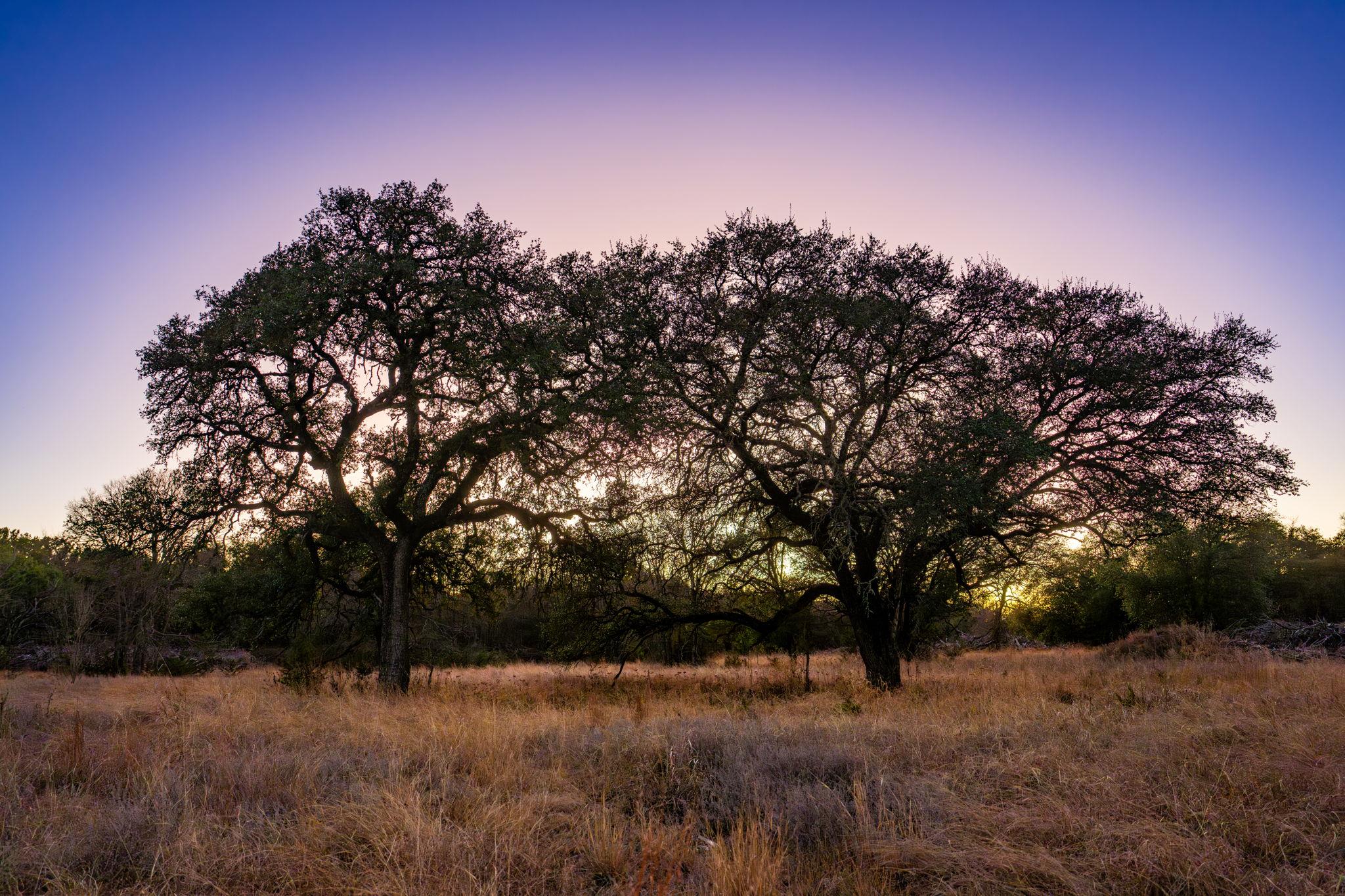 TBD FM 1047, Lometa, TX 76853 photo 5