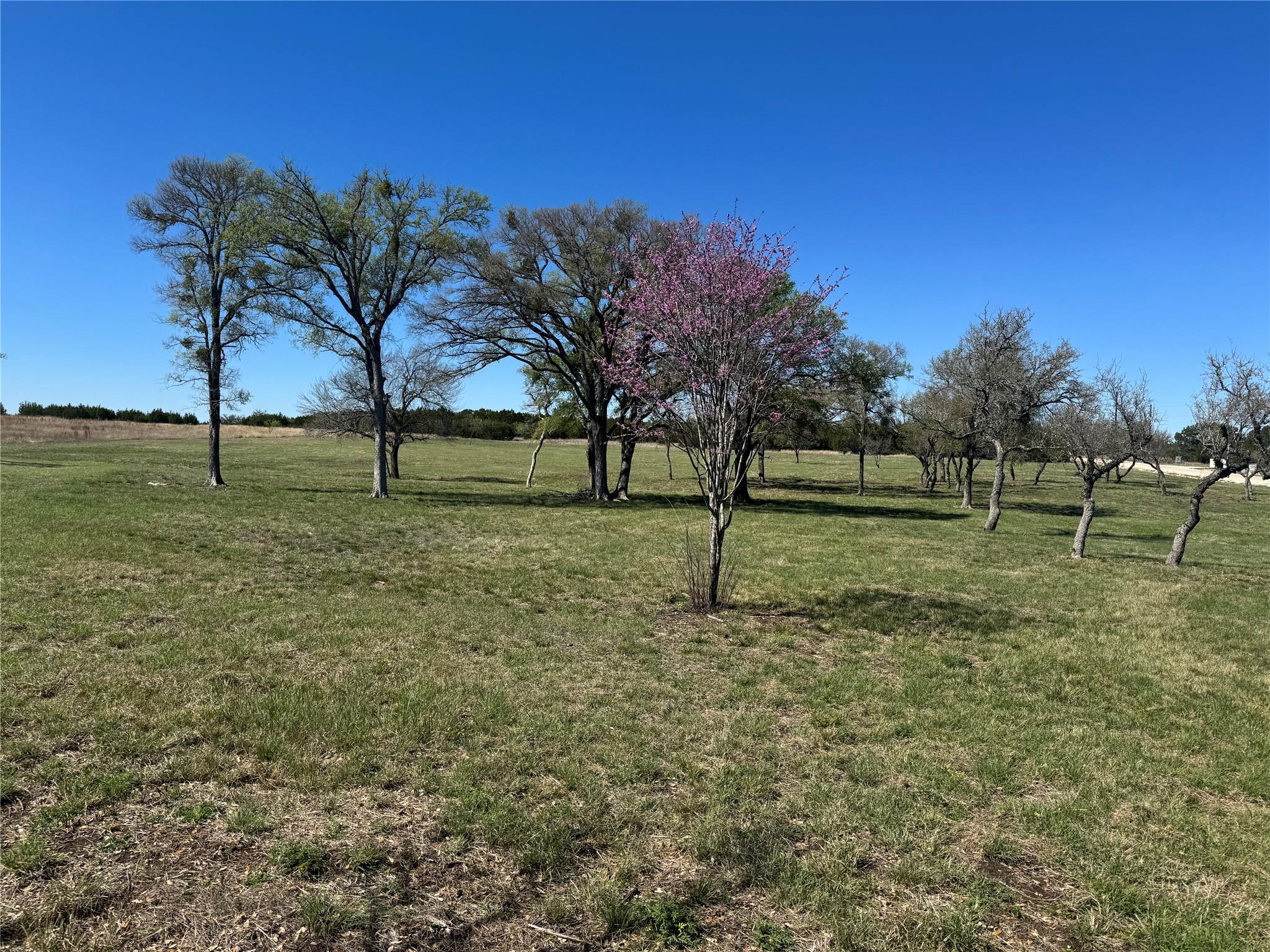 Burnet Oaks Estates