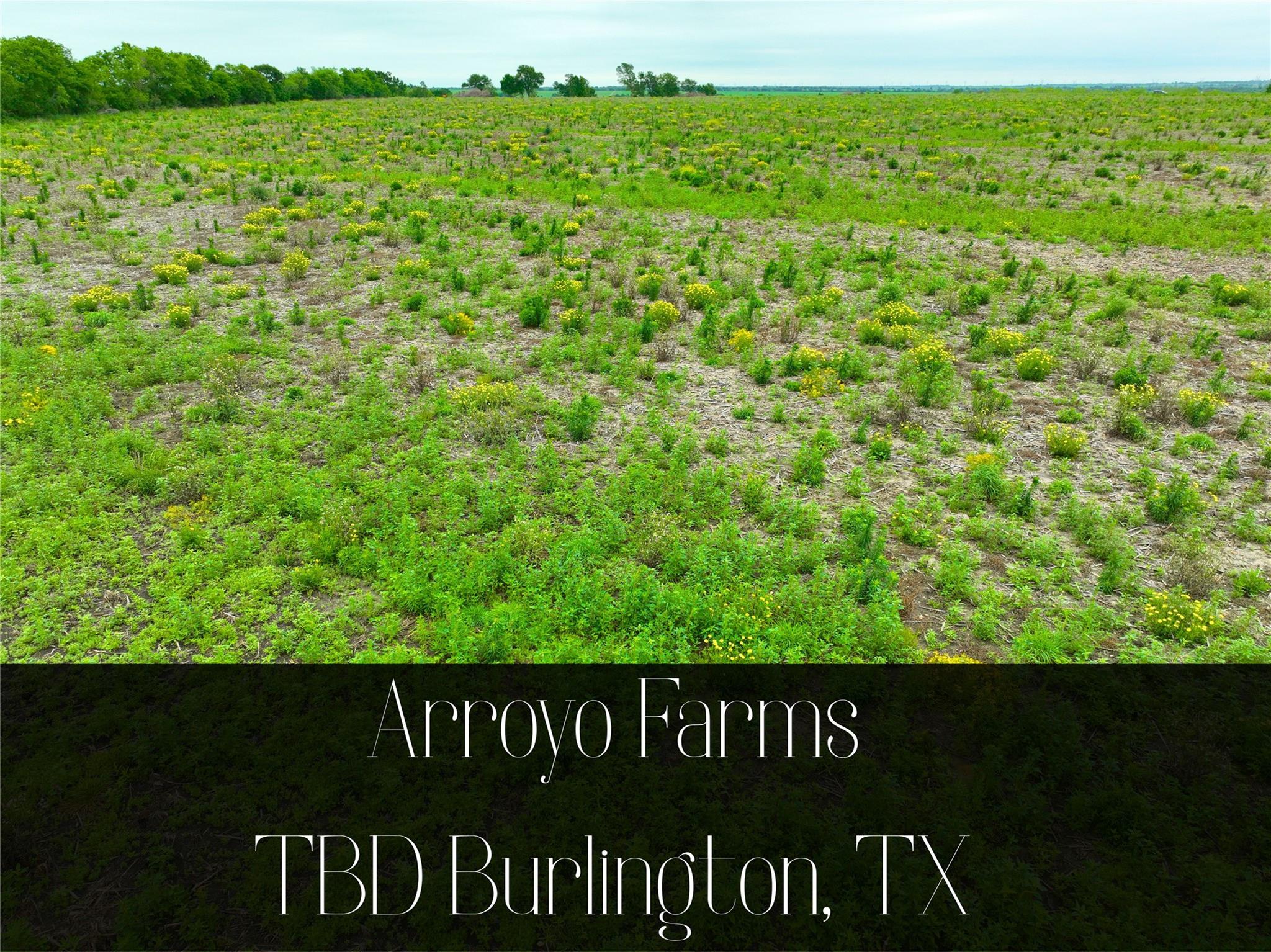 Arroyo Farms