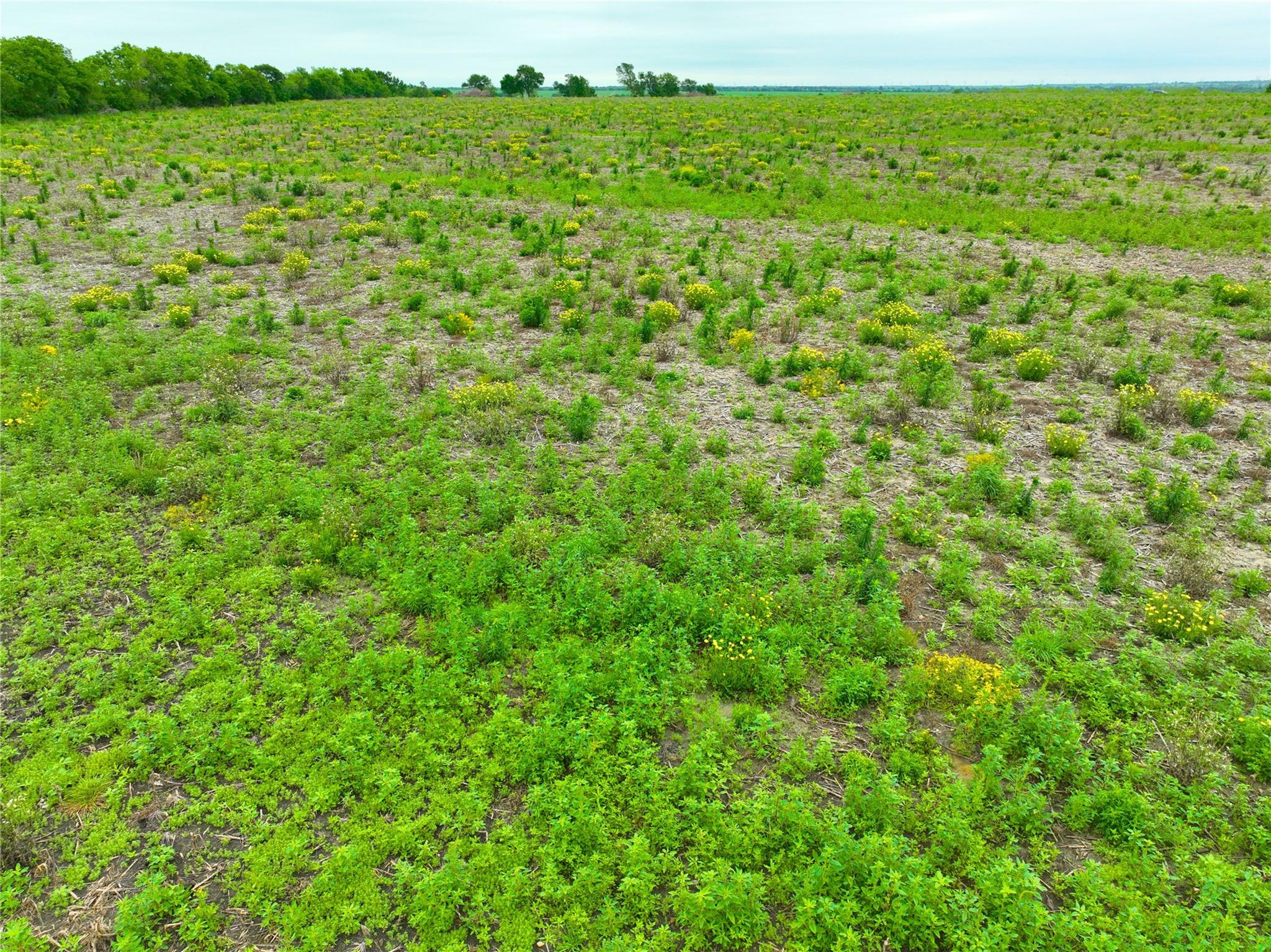 TBD Lot 5, Blk 2 132 RD, Burlington, TX 76518 photo 2