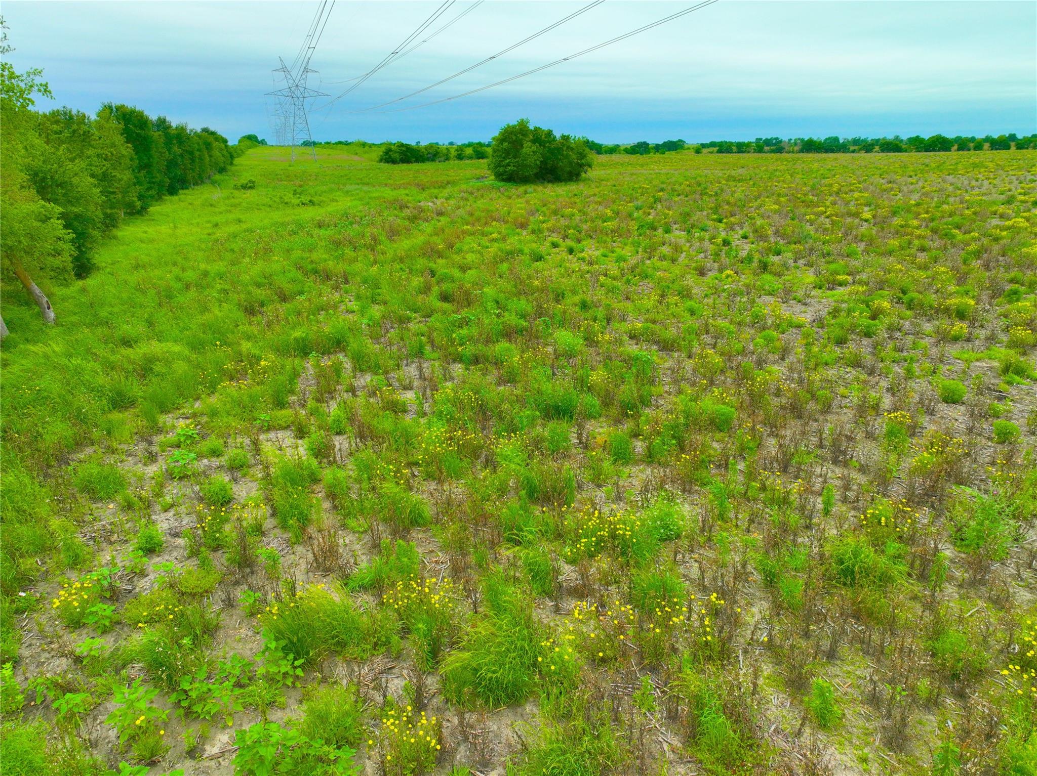 TBD Lot 5, Blk 2 132 RD, Burlington, TX 76518 photo 5