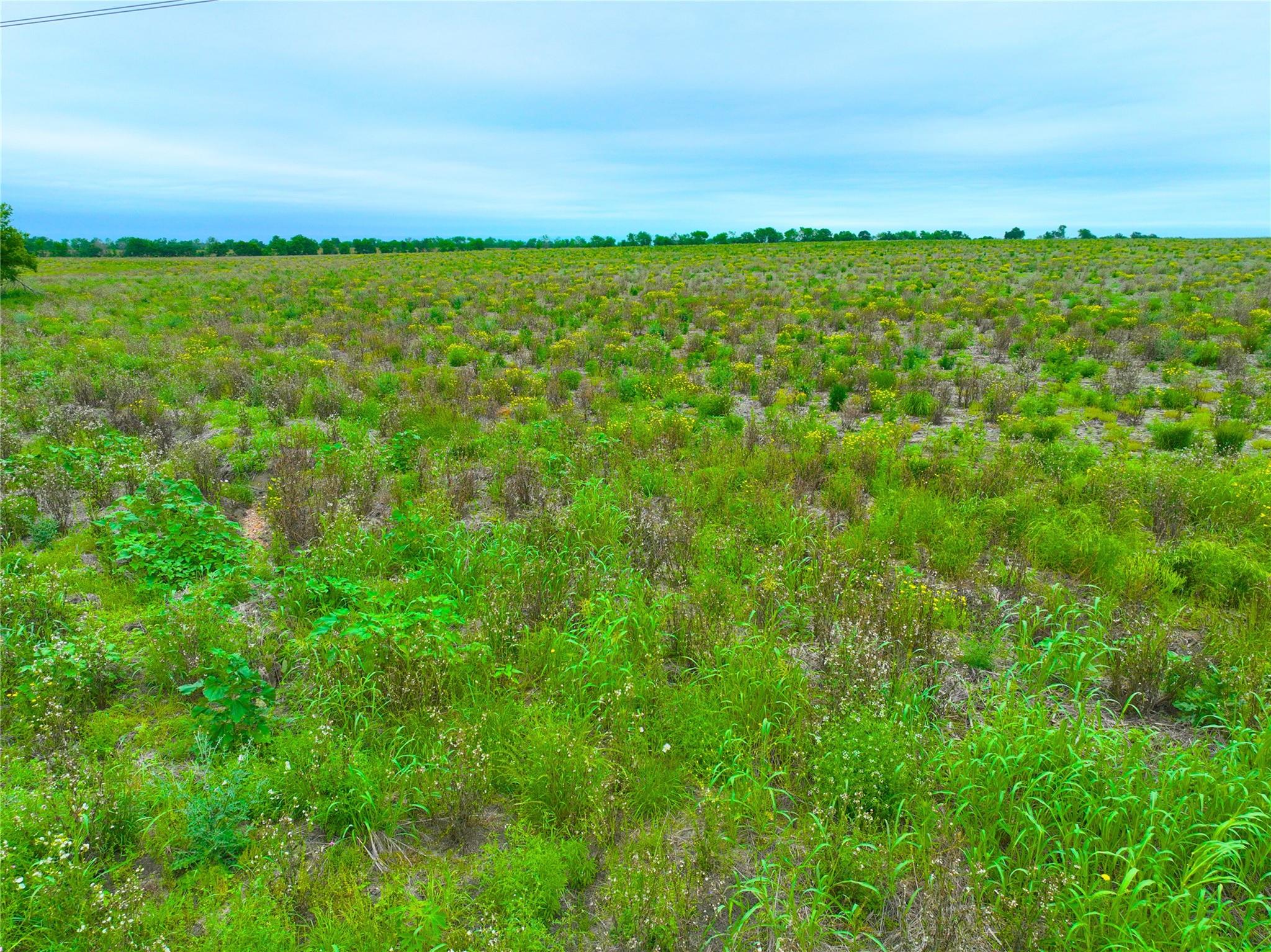 TBD Lot 5, Blk 2 132 RD, Burlington, TX 76518 photo 4