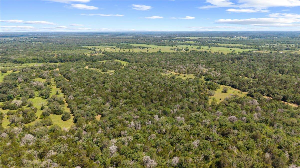 1648 Jeddo RD, Rosanky, TX 78953 photo 5