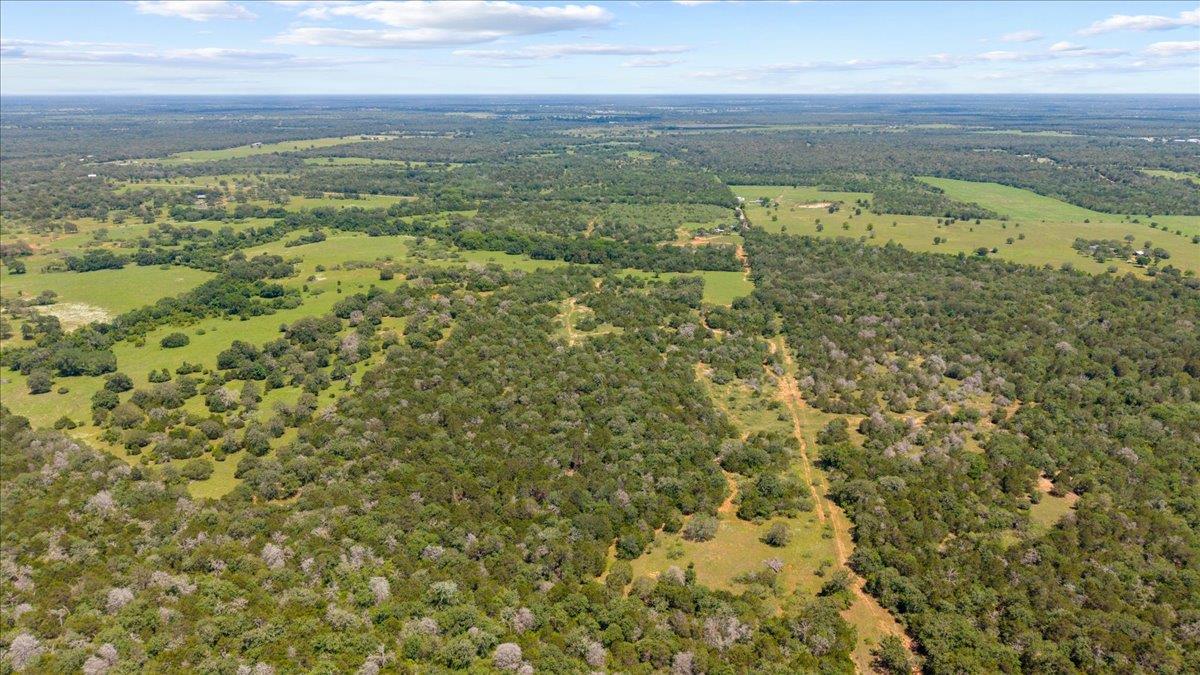 1648 Jeddo RD, Rosanky, TX 78953 photo 4