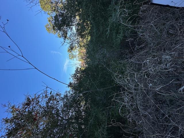 0 TBD Kula CT, Bastrop, TX 78602 photo 3
