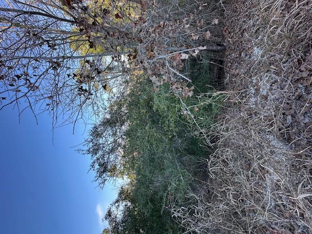 0 TBD Kula CT, Bastrop, TX 78602 photo 5