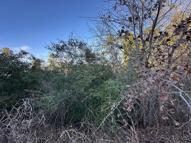 0 TBD Kula CT, Bastrop, TX 78602 photo 4