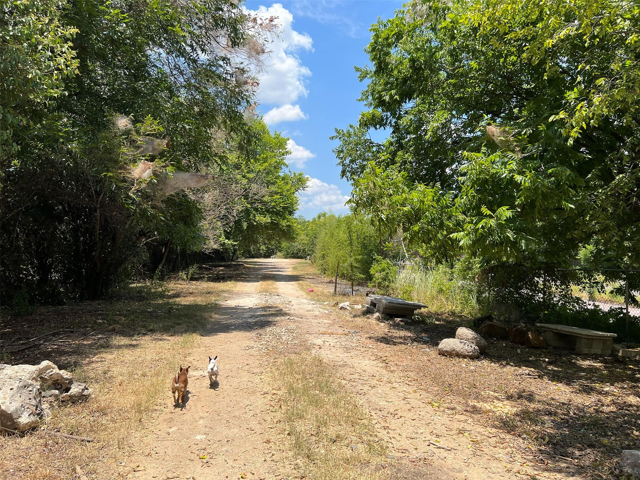 914 Shady LN #Tract 1, Austin, TX 78702 photo 3