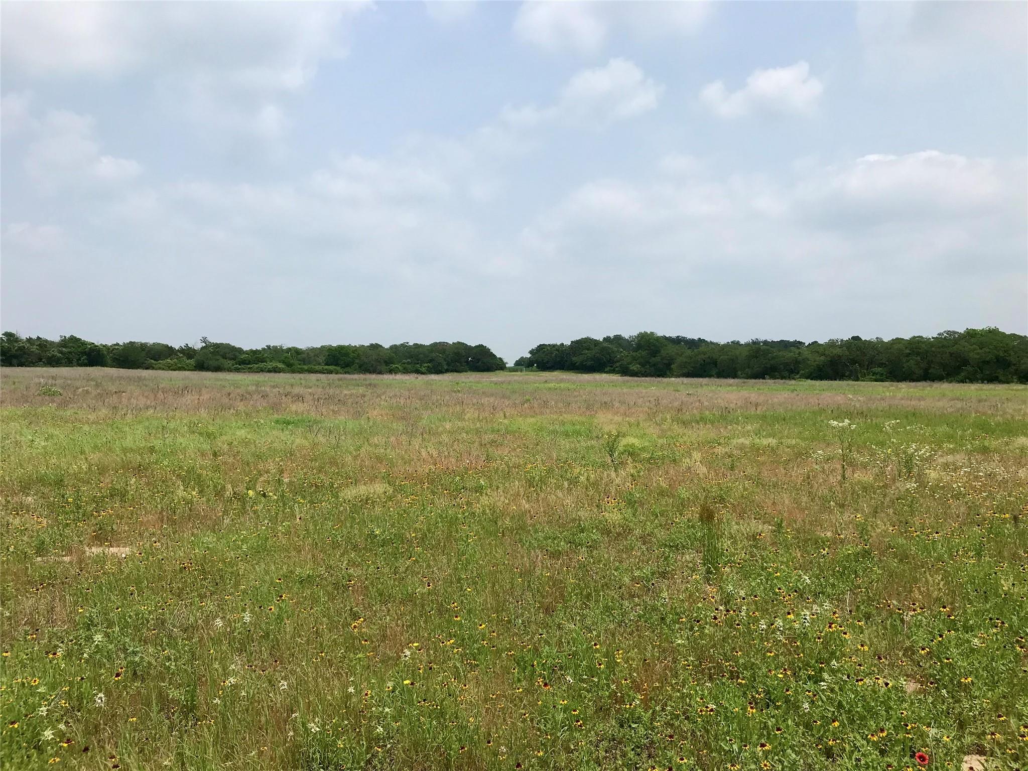 1672 Sayers Tract 4 RD, Bastrop, TX 78602 photo 2