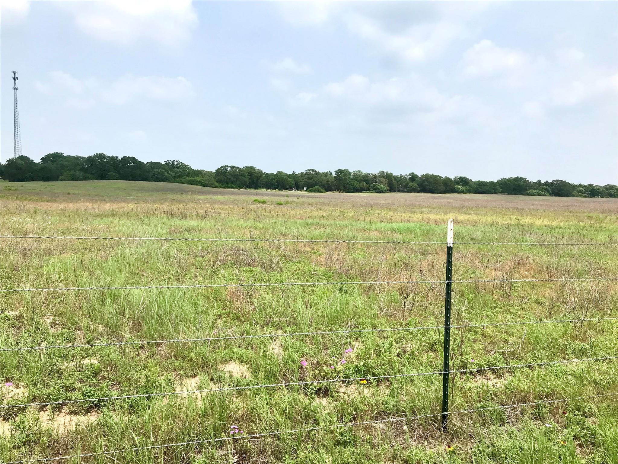 1672 Sayers Tract 4 RD, Bastrop, TX 78602 photo 3