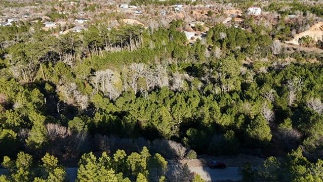Lot 858 Mamalu DR, Bastrop, TX 78602 photo 3