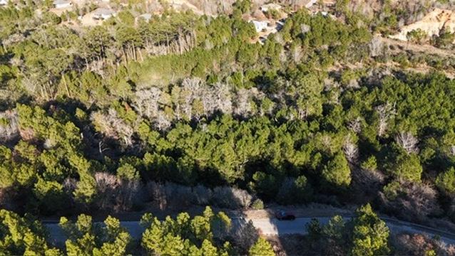 Lot 858 Mamalu DR, Bastrop, TX 78602 photo 5
